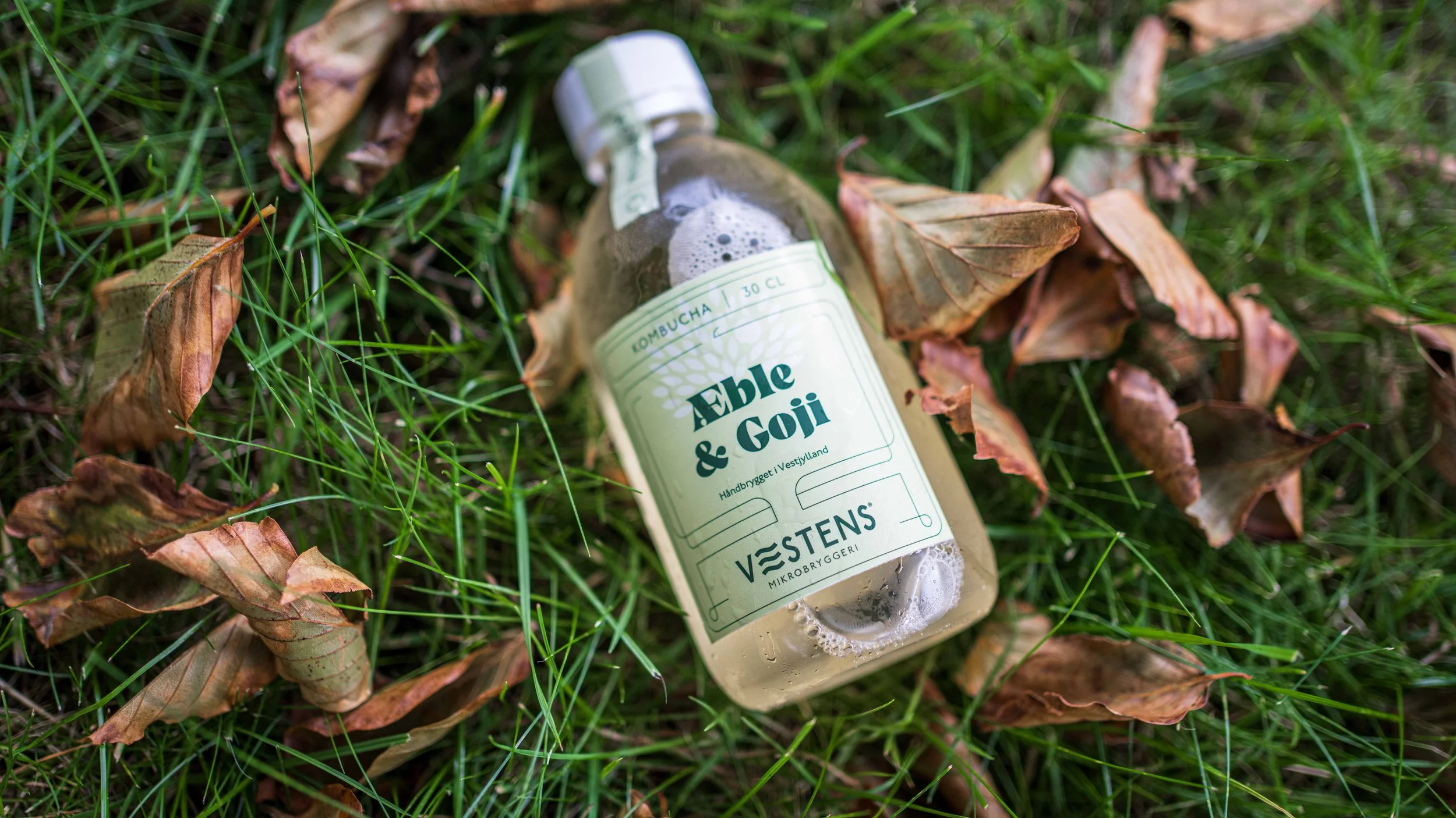 Kombucha fra Vestens Mikrobryggeri