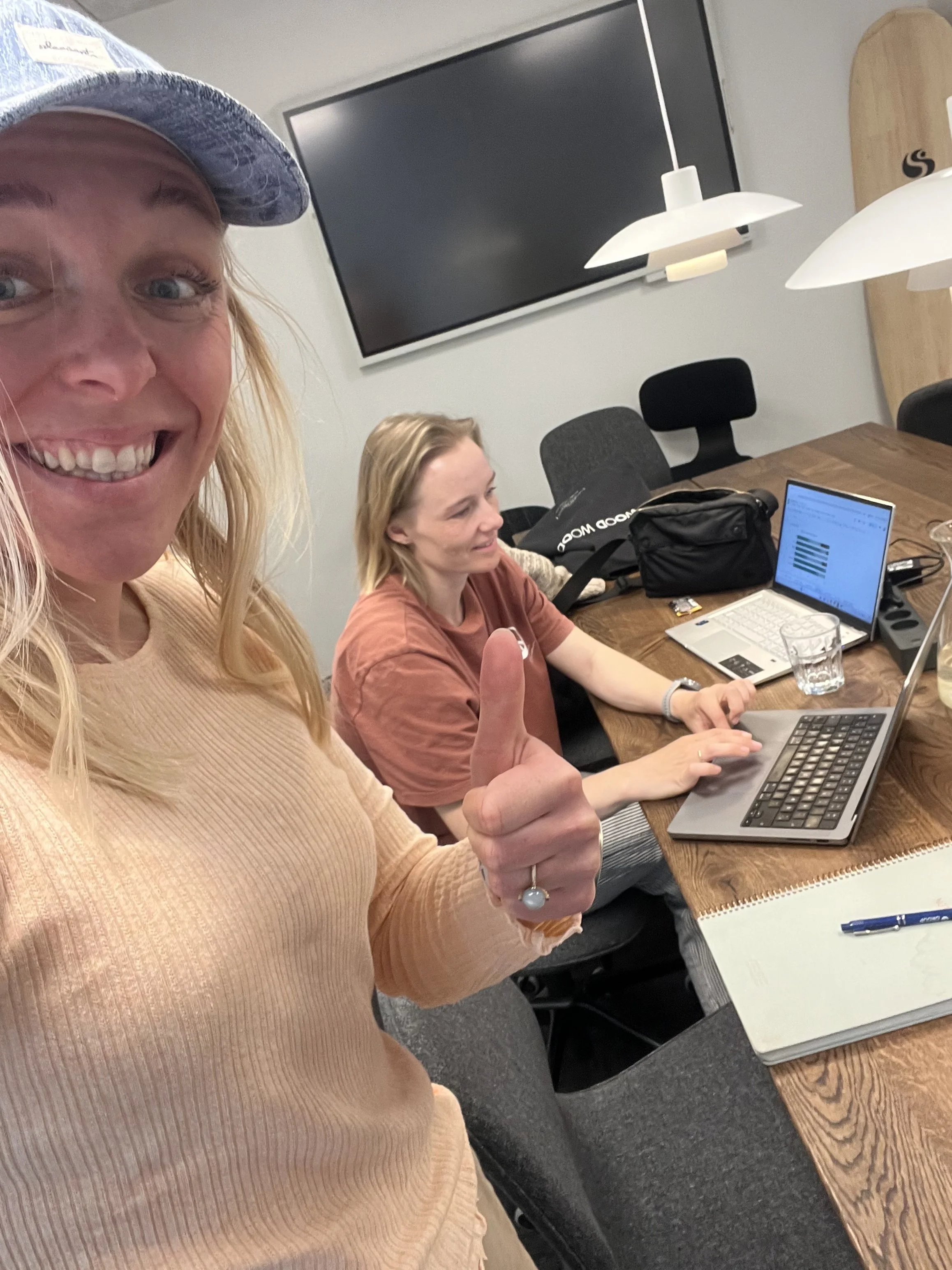 Sundhedsdata analysering med Marianne