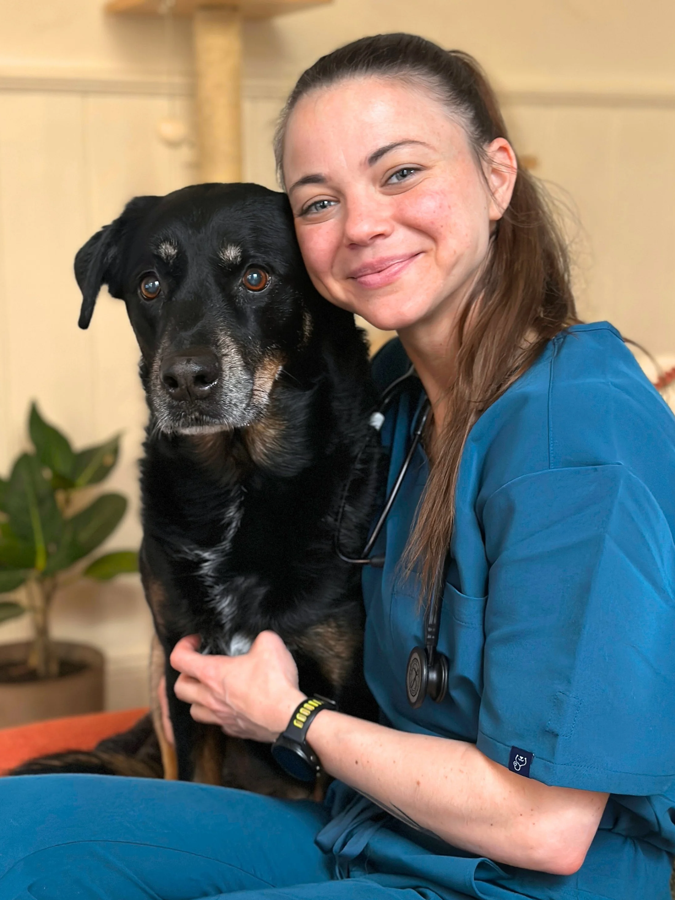 Photo of a female veterinarian in teal scrubs with a stethoscope around her neck, cuddling a black and tan dog.