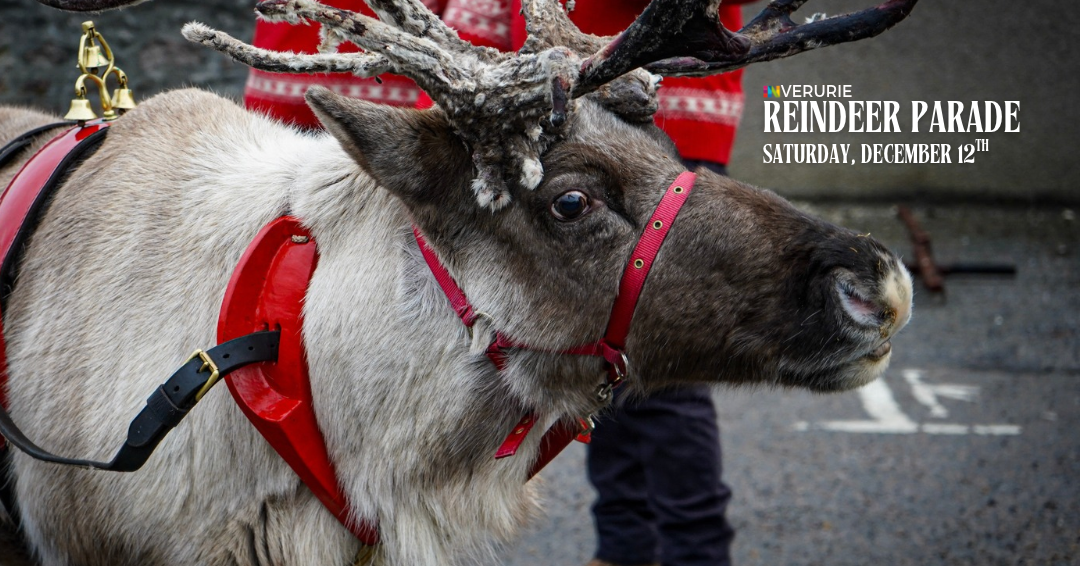 INverurie Reindeer Parade 2026