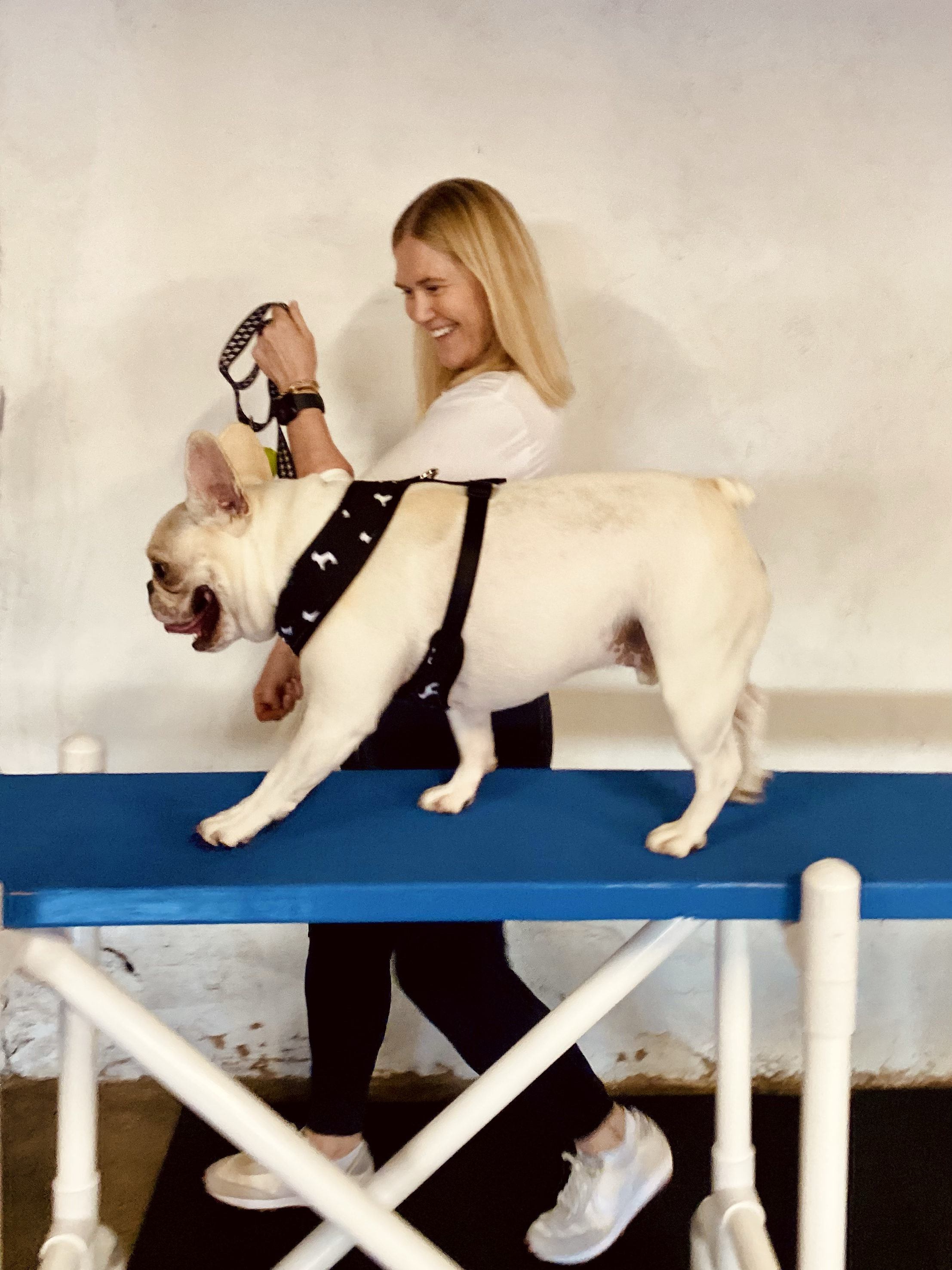 A woman smiling and holding a dog leash while a French Bulldog stands on a blue grooming table.