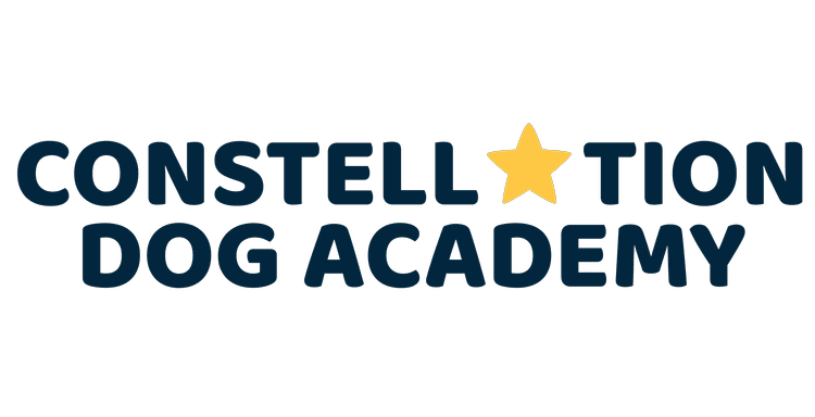 Constellation Dog Academy