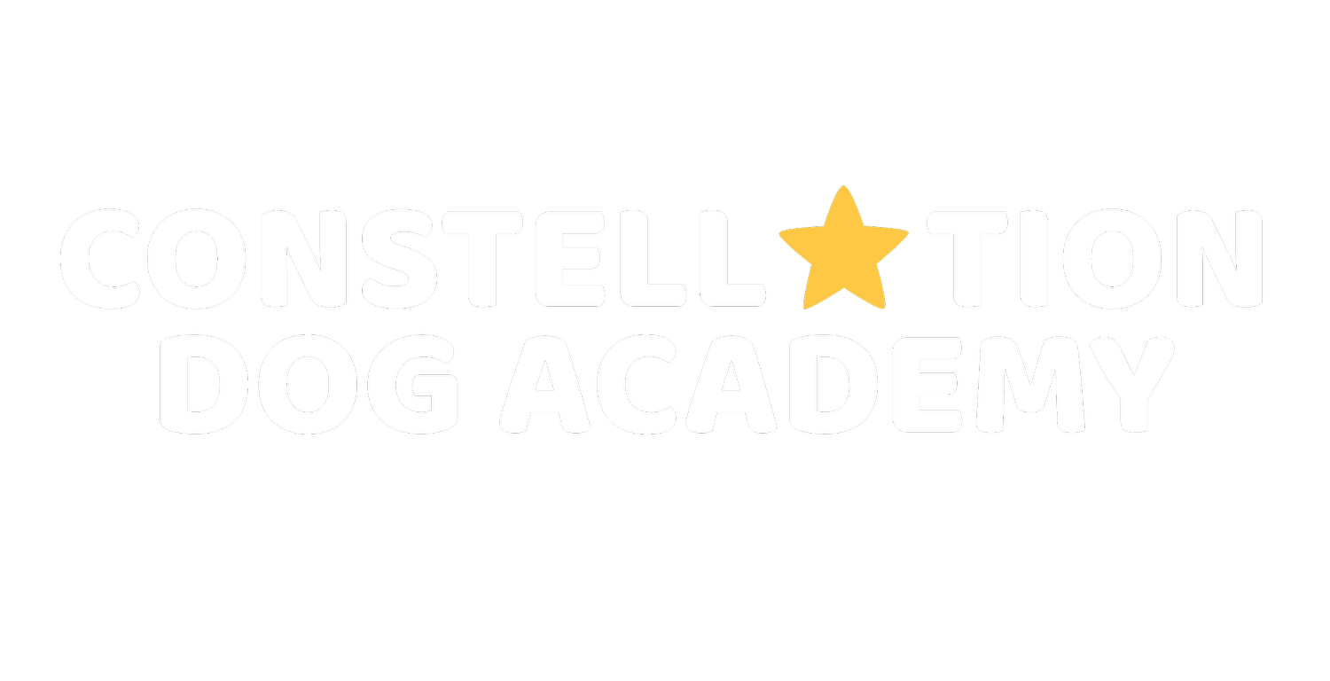 Constellation Dog Academy