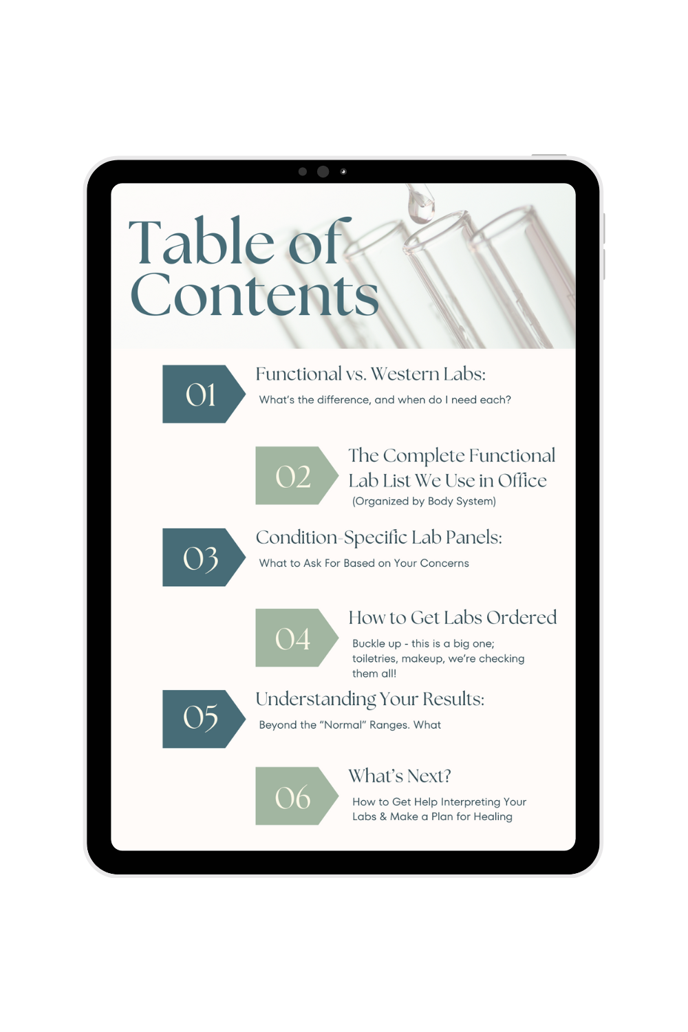 A tablet displaying a table of contents for a guide on lab procedures, with six sections listed alongside icons, over a black background.