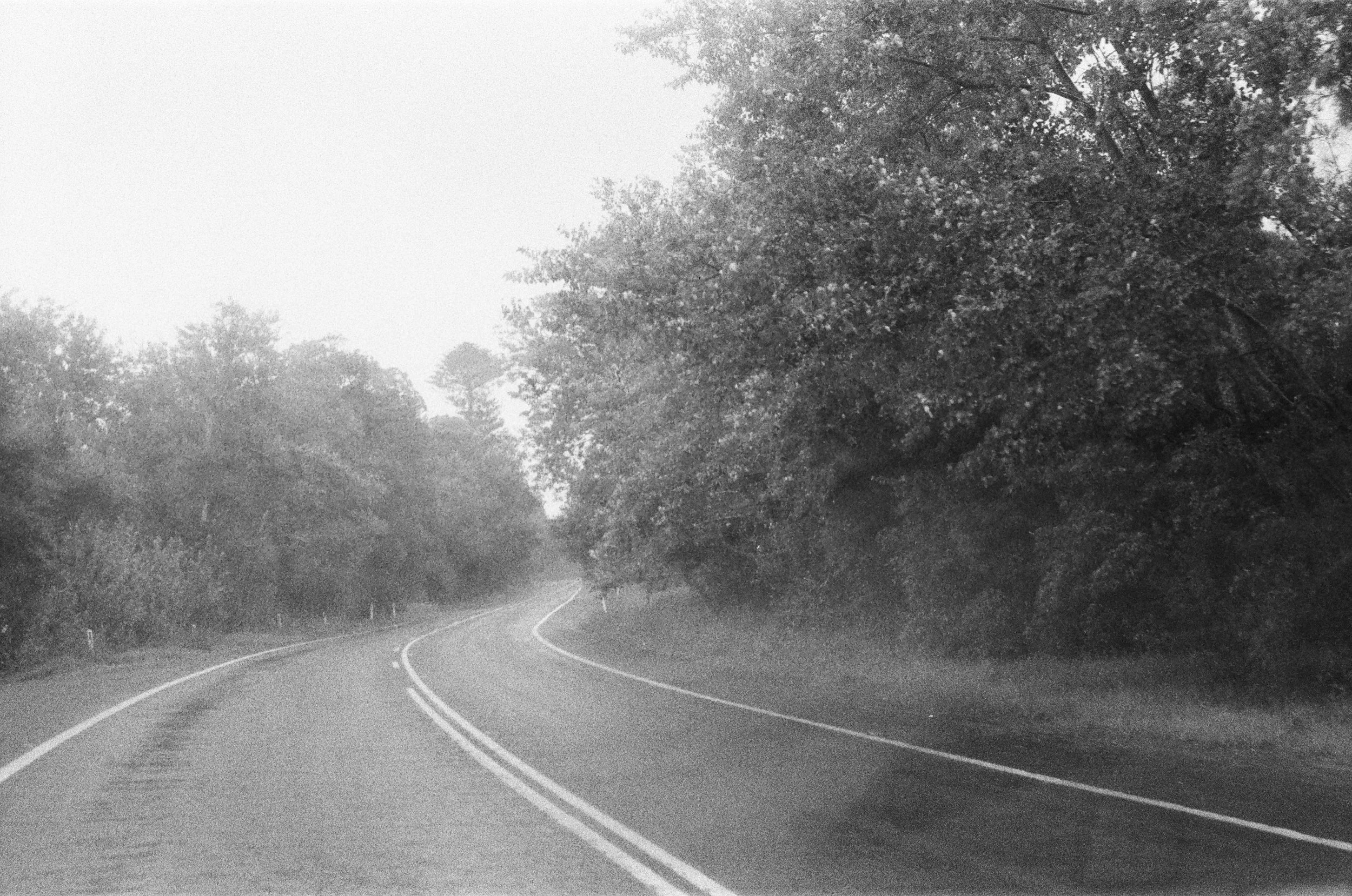 100014750033.jpg