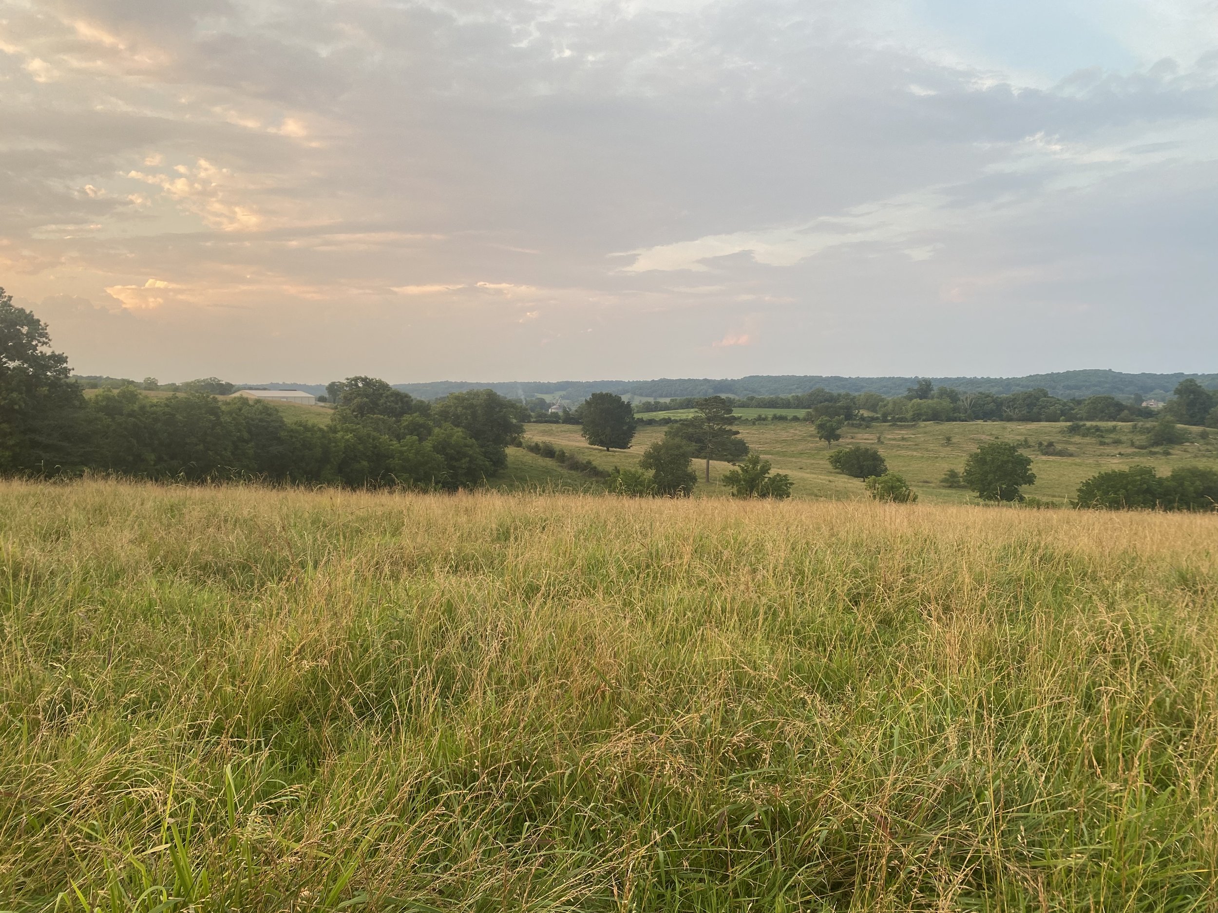 IMG_6102.jpeg