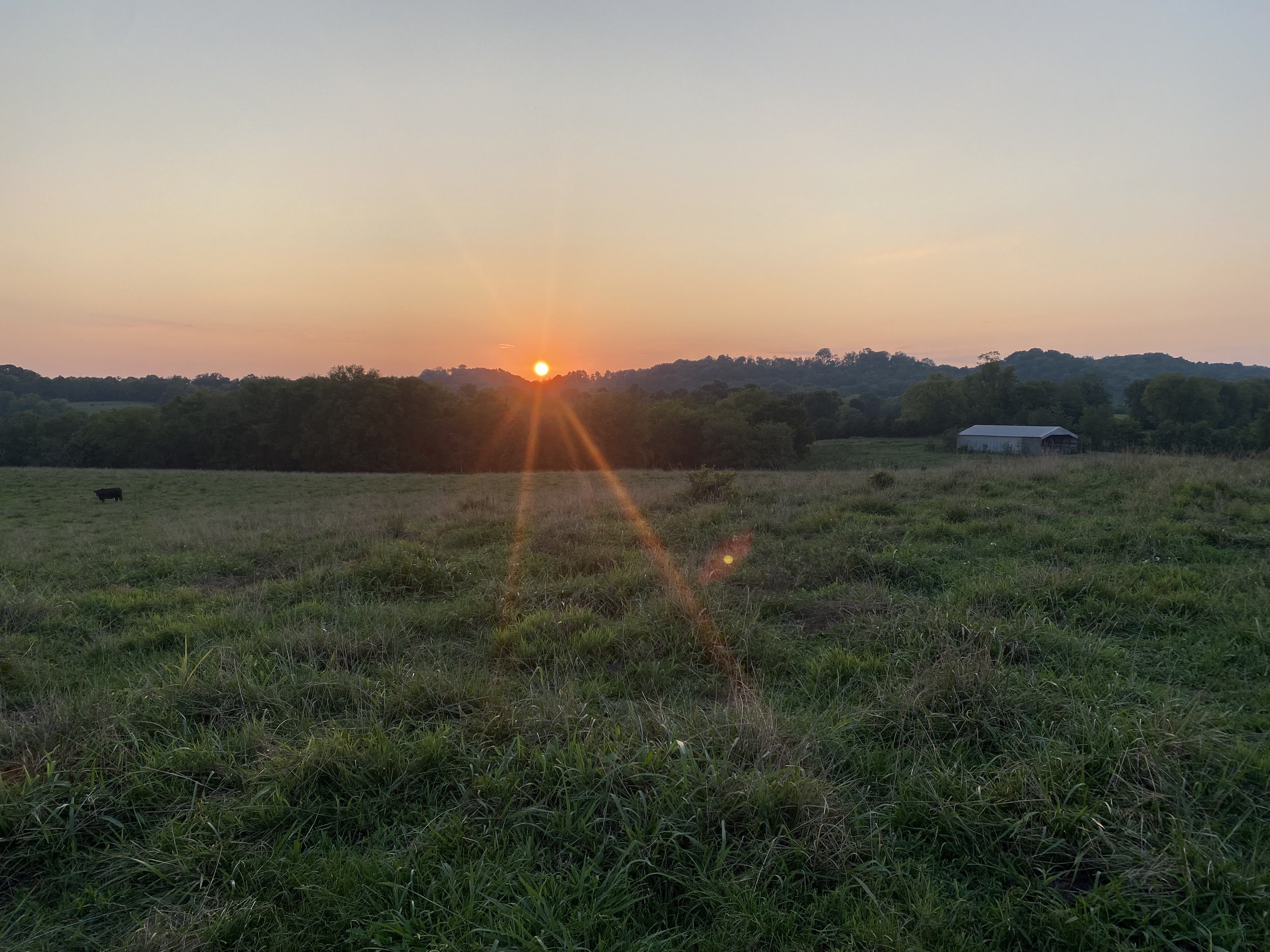IMG_6408.jpeg