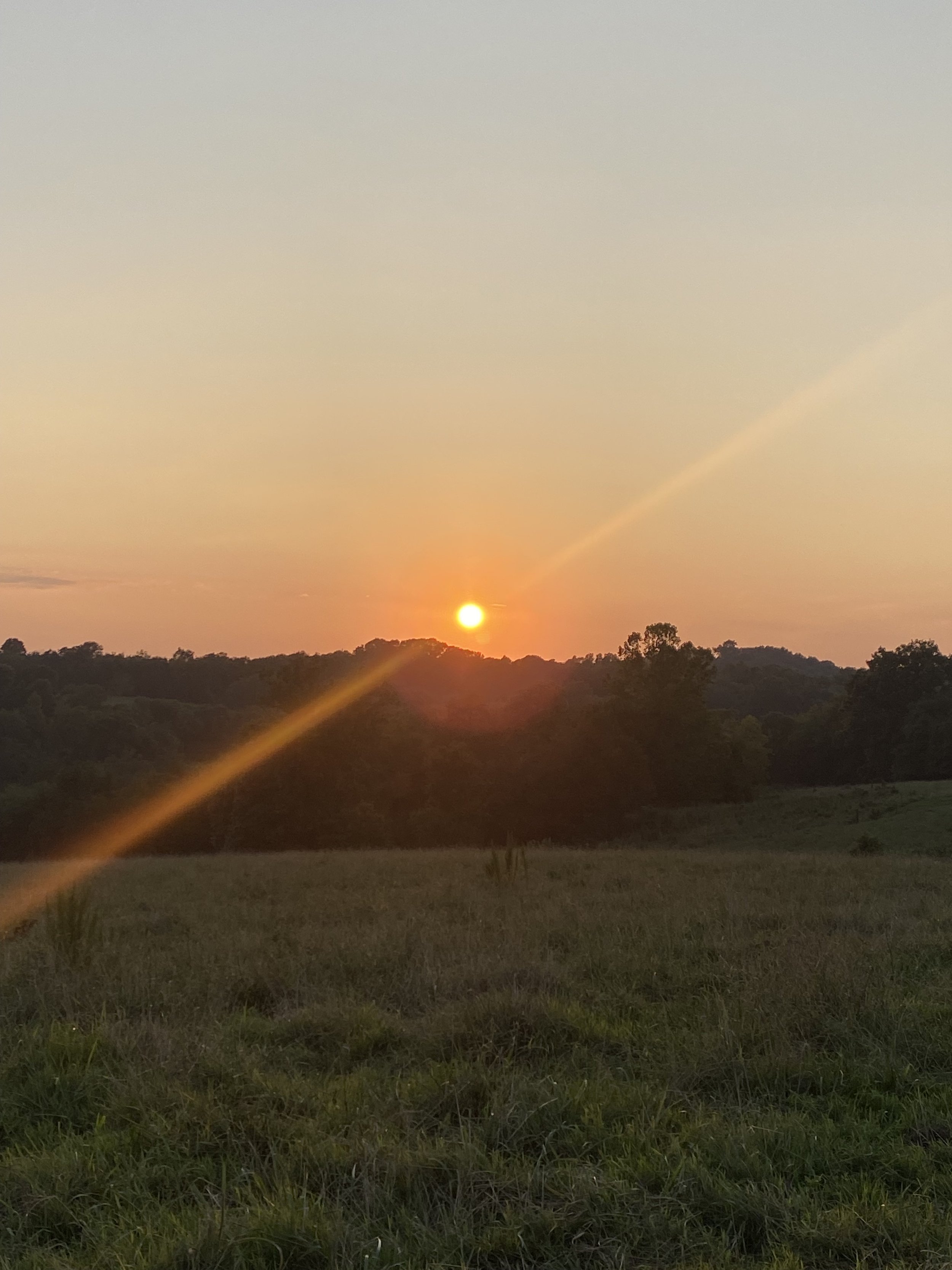 IMG_6406.jpeg