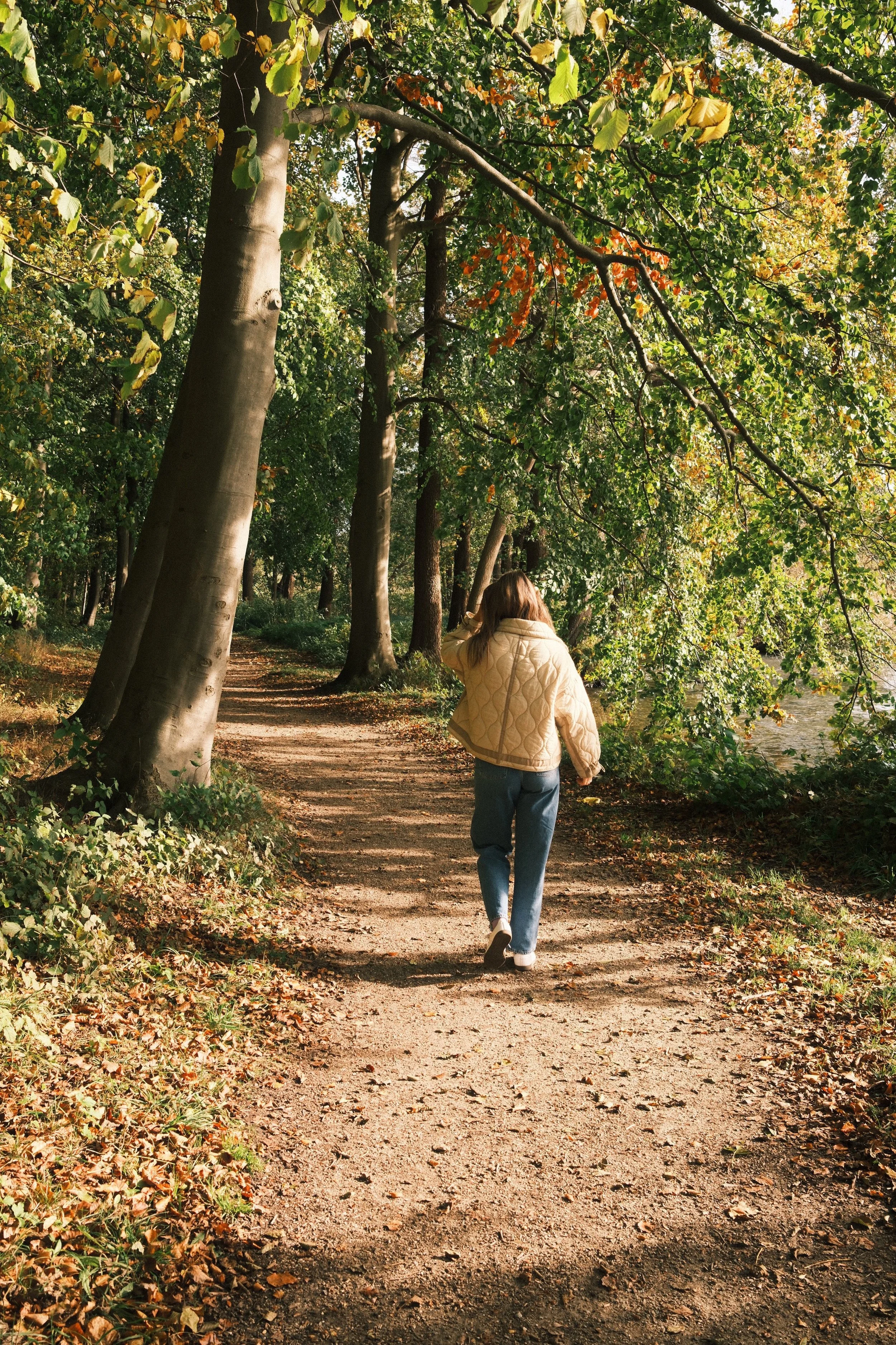 Woman walking down a forest path with trees either side. Walking can be hard when we loose our dog.
