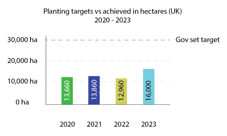 The Government Created Roadblocks in UK Tree Planting and Land ...
