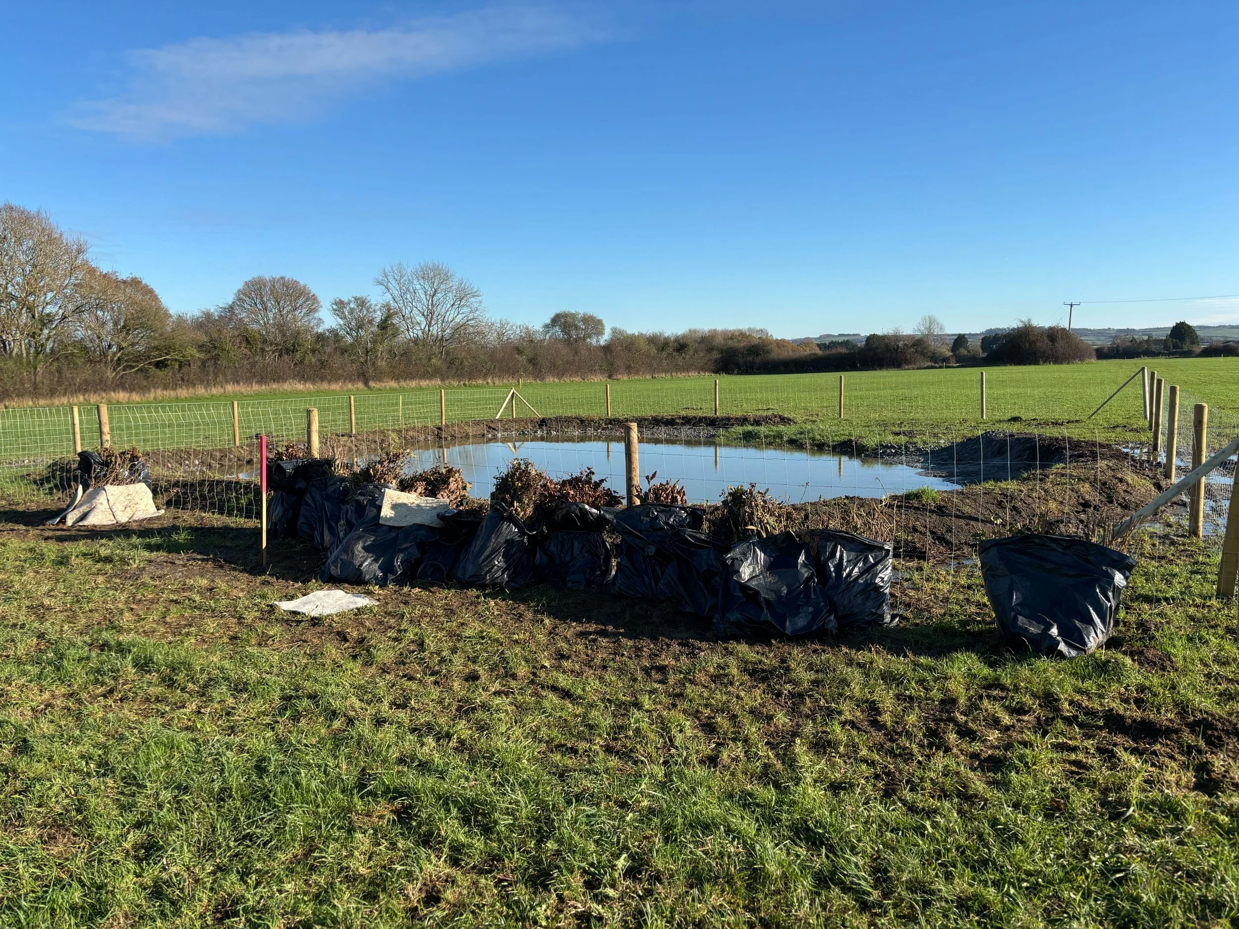 Pucklechurch Wood - A New Council-Created Woodland in South Gloucestershire