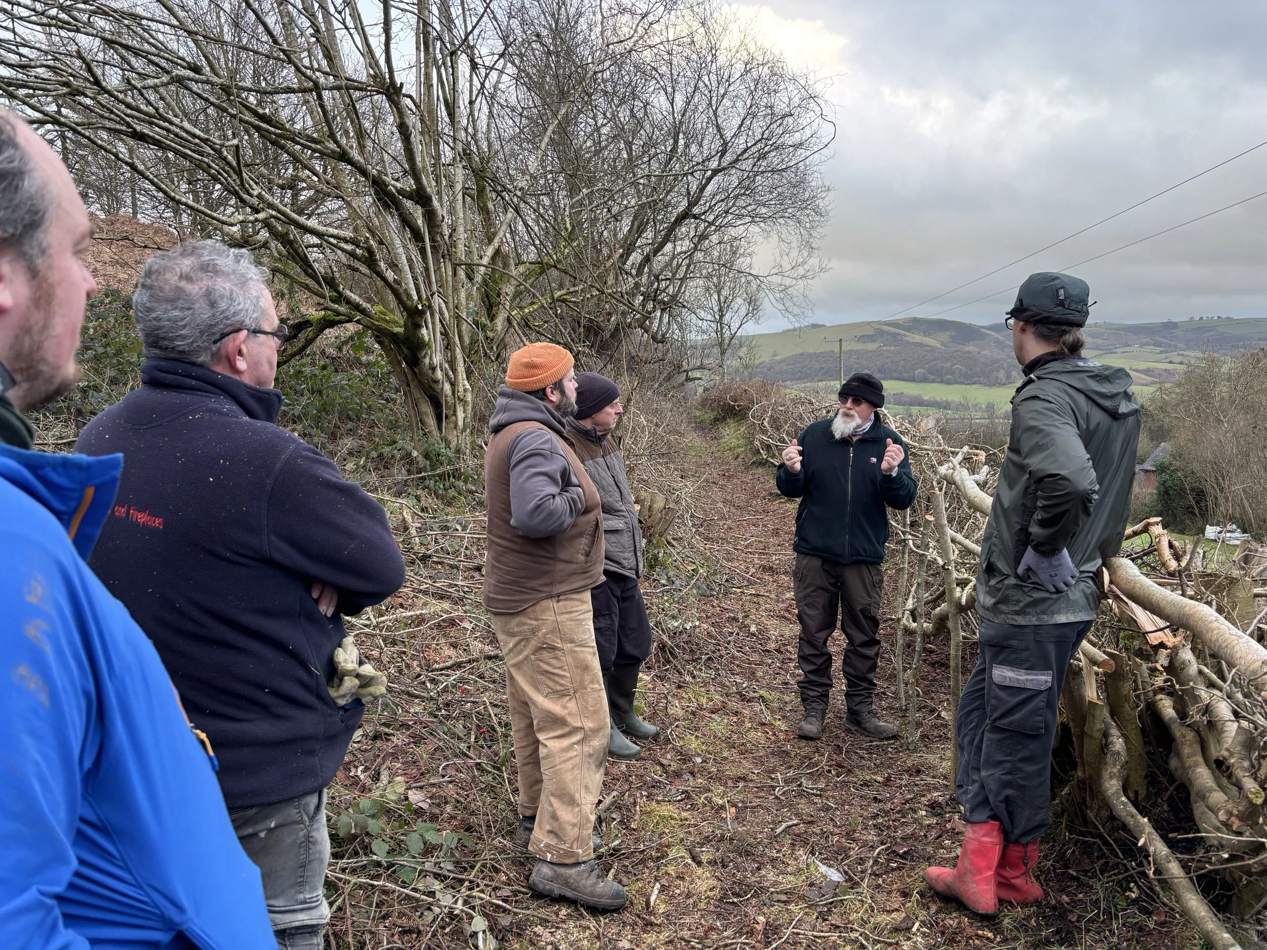 Our Hedge-Laying Courses and Why They Are Important.