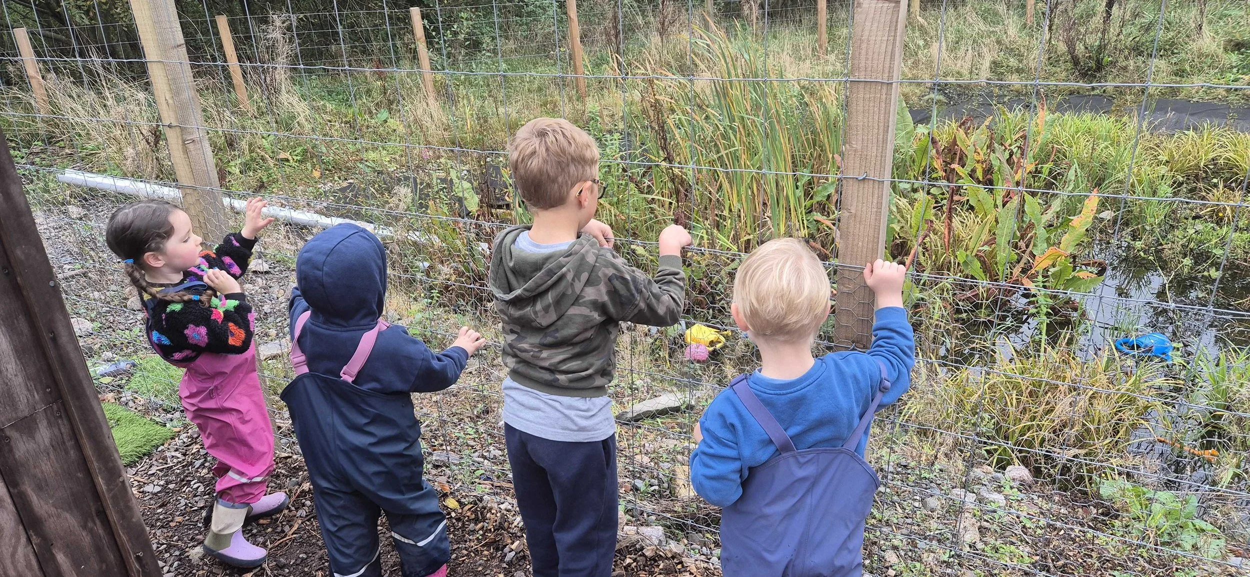 Five children observing and feeding ducks behind a wire fence near a pond surrounded by tall grass and reeds.