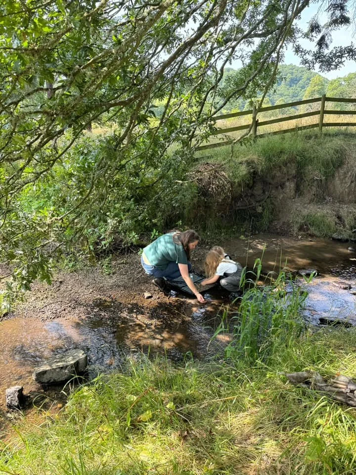 Two people, a woman and a girl, kneeling by a small creek, examining or fishing in the water, surrounded by green grass, trees, and a wooden fence in the background.