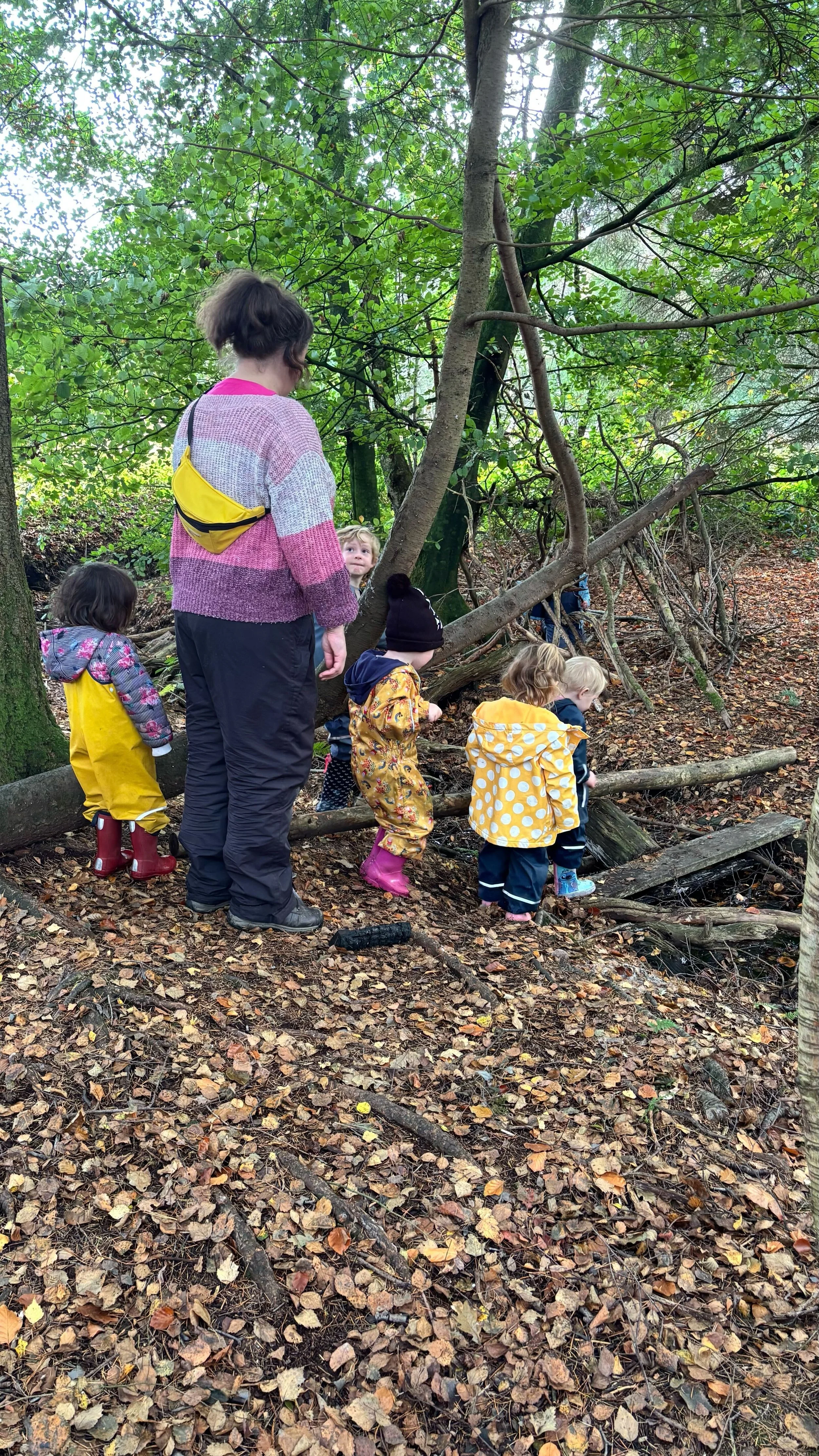 A woman and five children exploring a forest with leaf-covered ground, climbing over fallen branches near a small stream, surrounded by green trees.