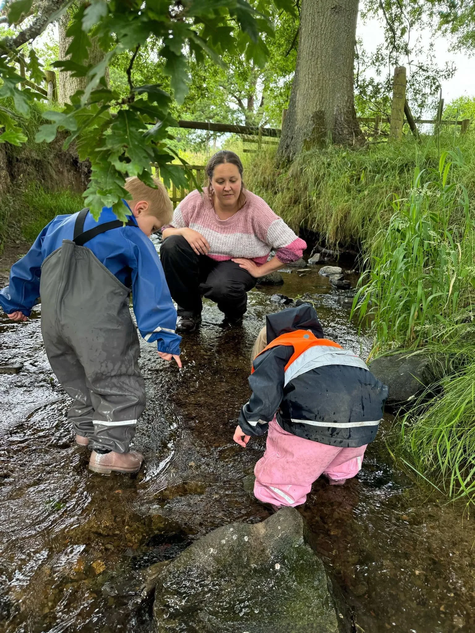 People exploring a shallow stream in a wooded area during daytime.