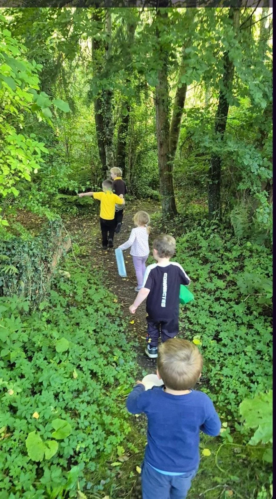 Children walking on a forest trail surrounded by dense green foliage and trees.