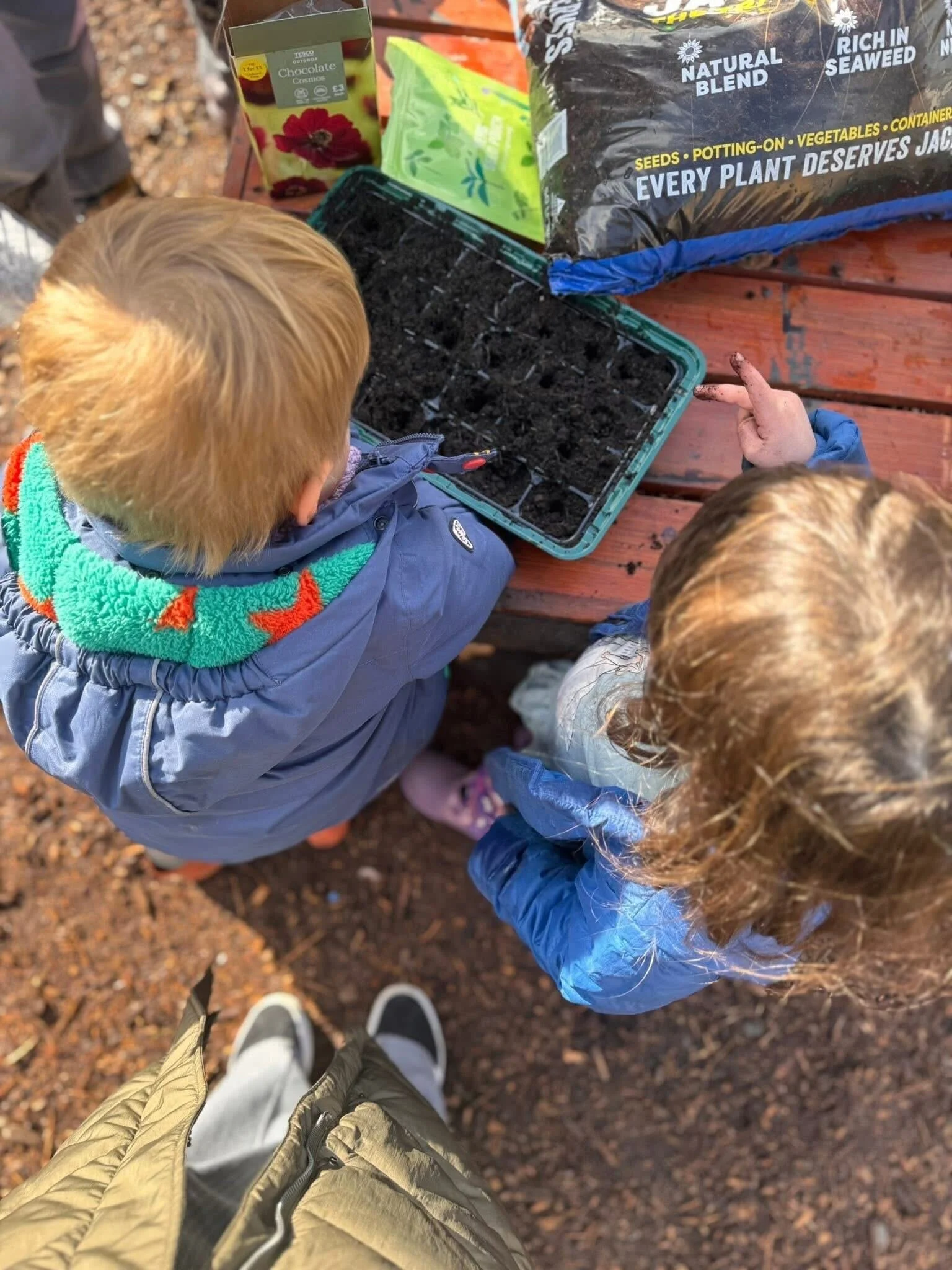 Two children wearing jackets looking at a planting tray on a wooden surface with soil, surrounded by seed packets for gardening.
