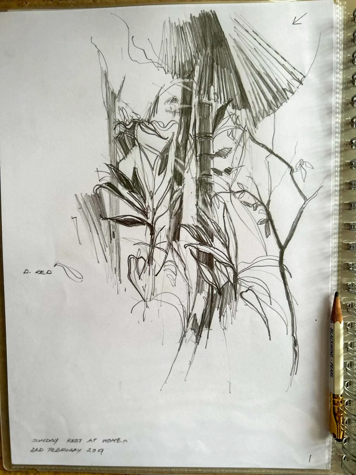 artists-sketchbooks-02.jpg