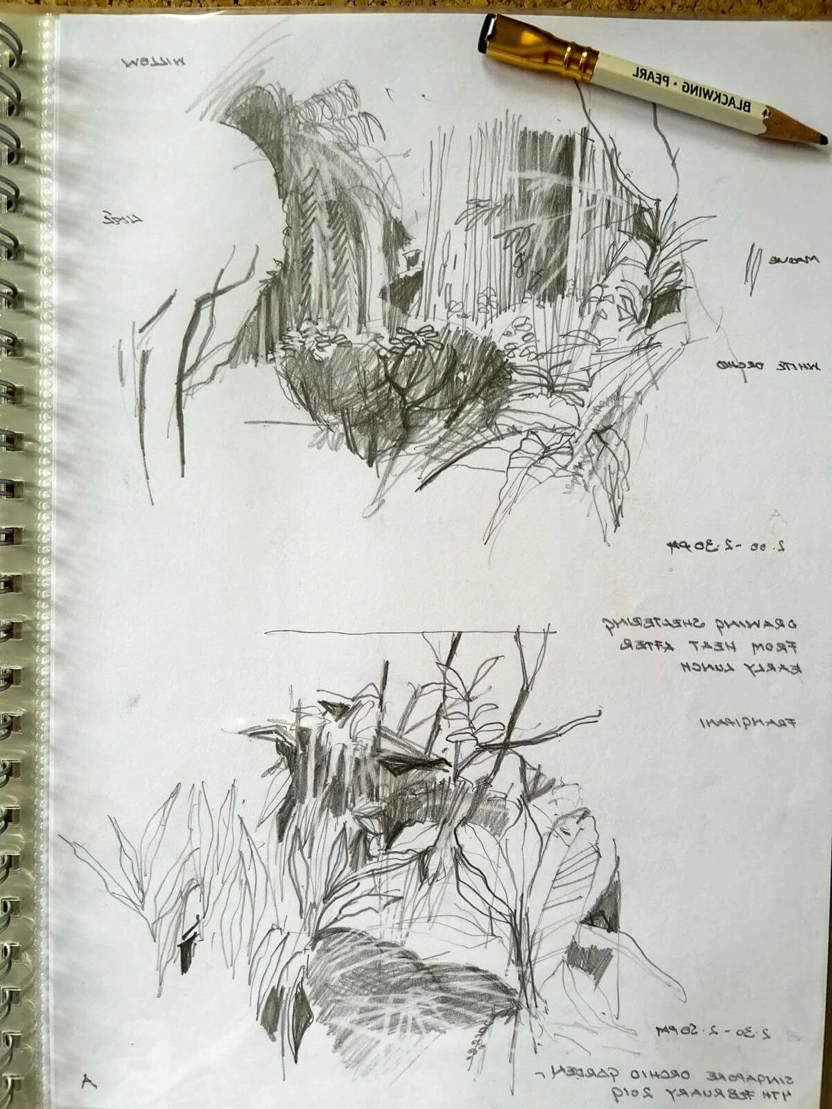 artists-sketchbooks-06.jpg