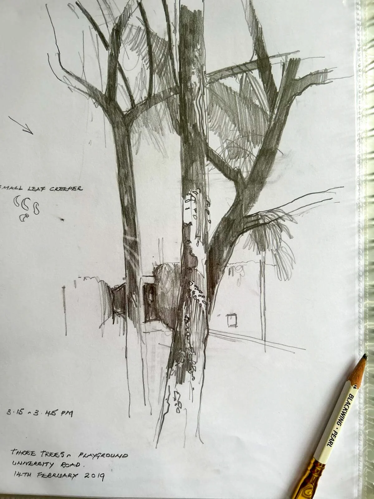 artists-sketchbooks-14.jpg