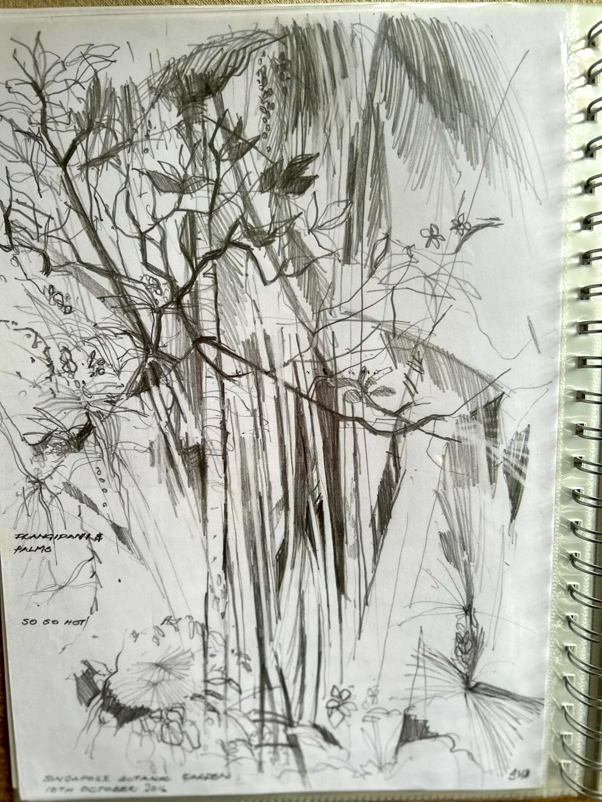 artists-sketchbooks-23.jpg