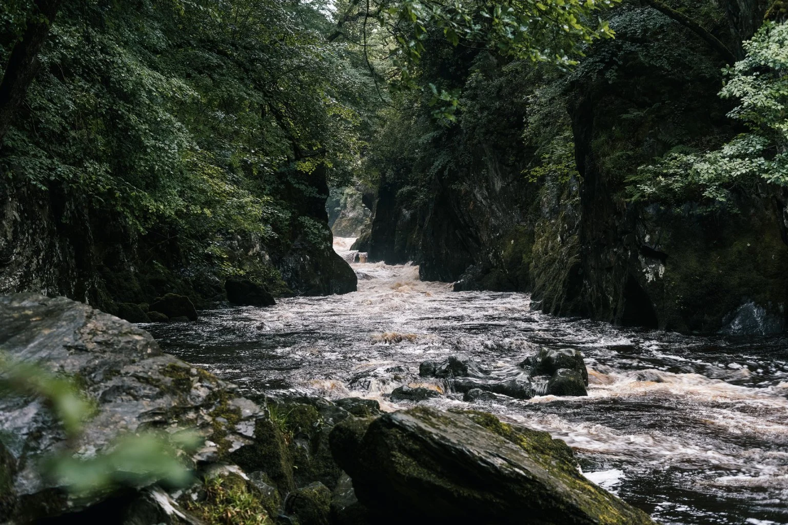 snowdonia_2019_32.jpg