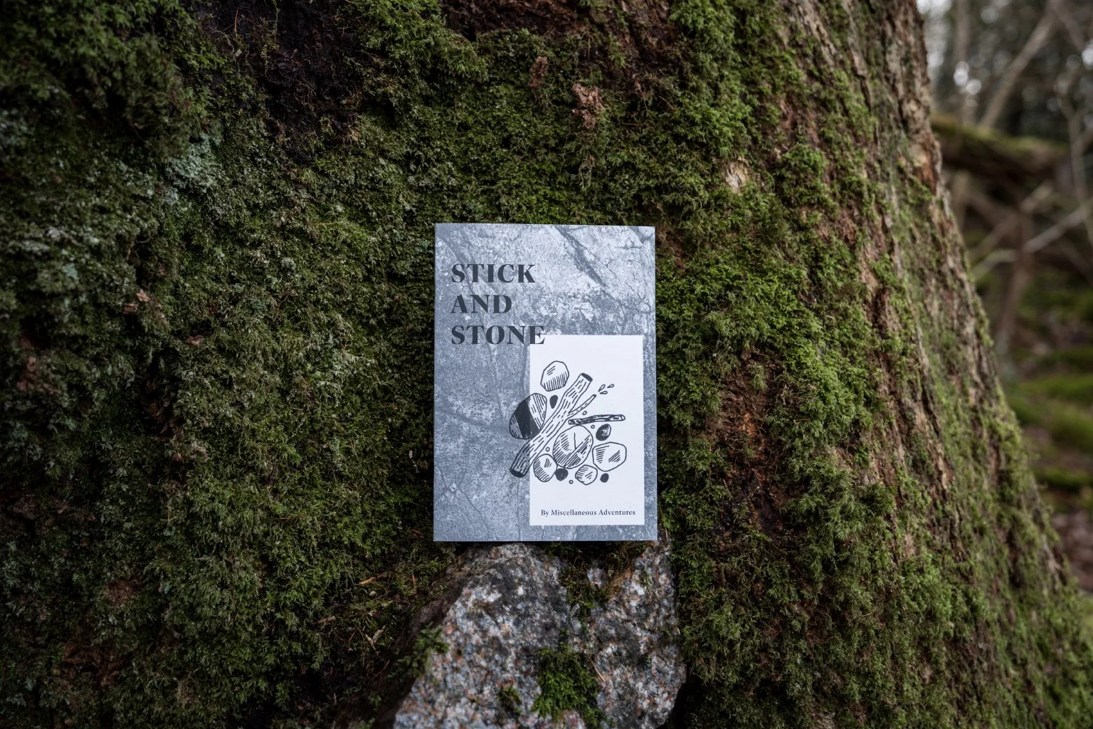 Stick_Stone_Landscape_1.jpg