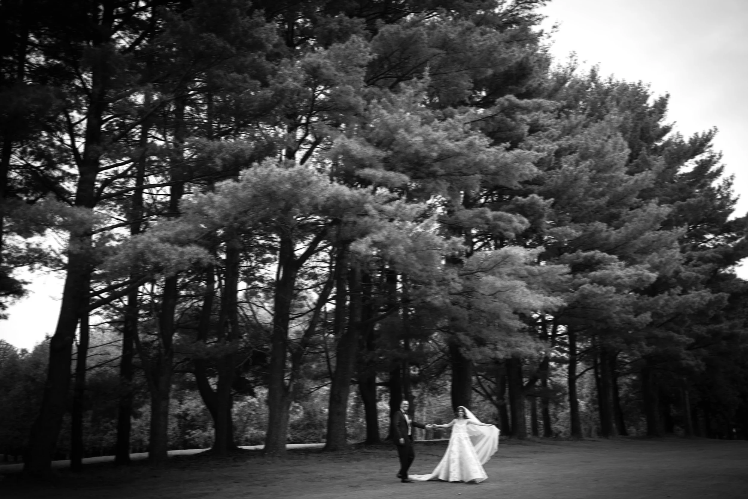 A black and white photo of a bride and groom holding hands outdoors beneath tall trees, with the bride wearing a flowing gown and veil, and the groom in a suit.