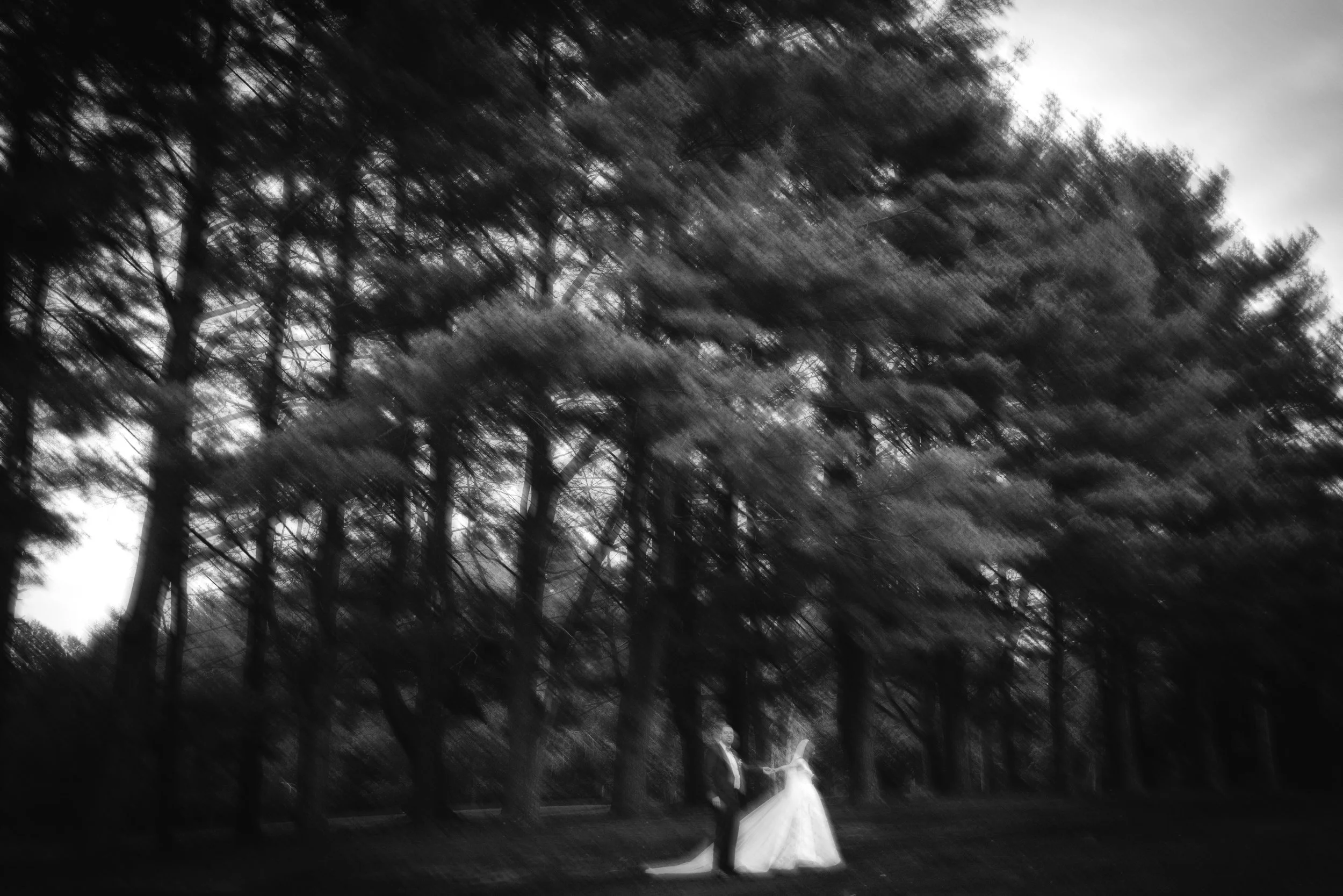 Black and white photo of a bride and groom dancing outdoors under tall trees, the trees are blurred to create a motion effect.
