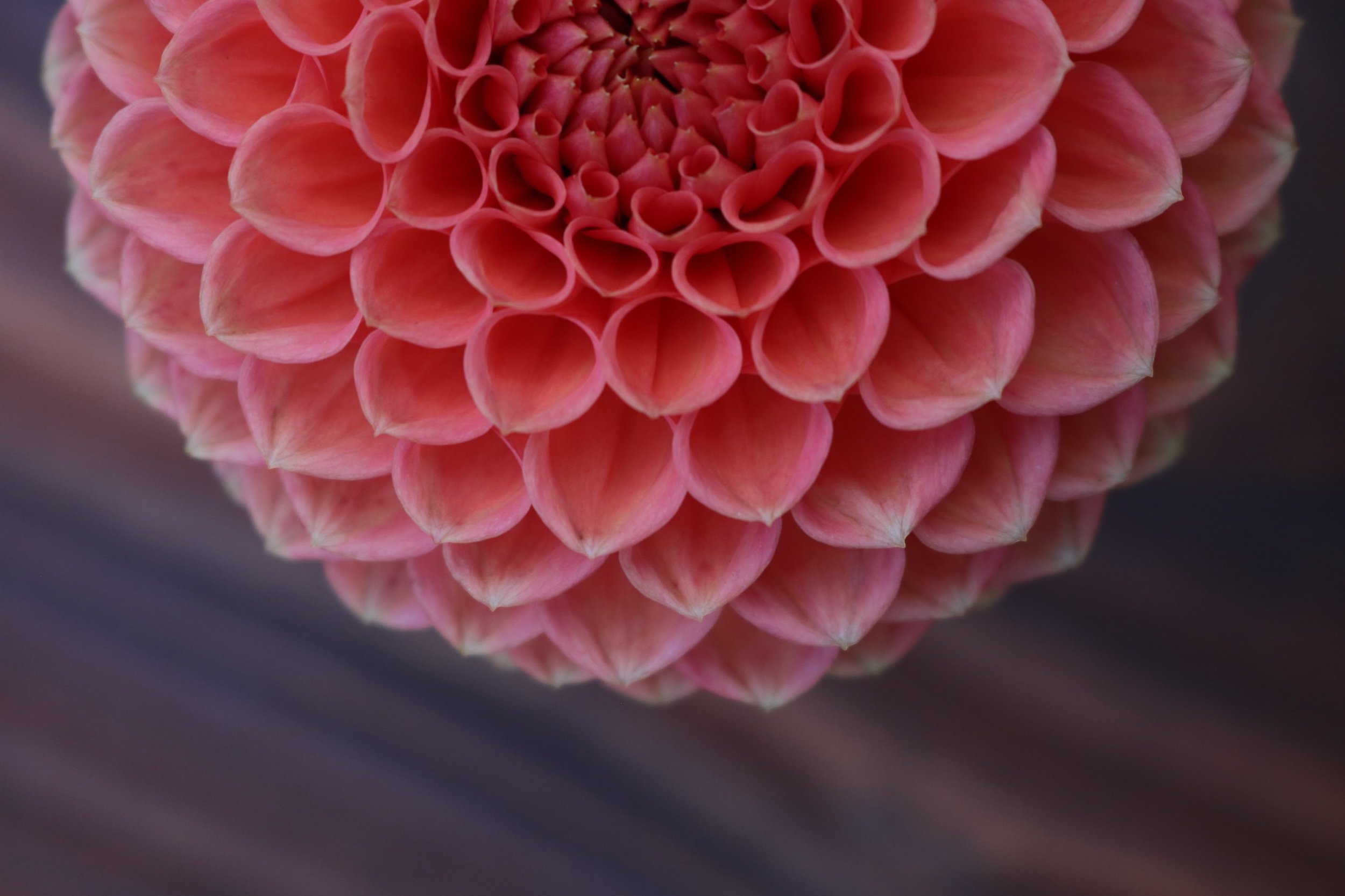 AD225F6A-7F01-435A-8293-696B0D1095E7.jpeg