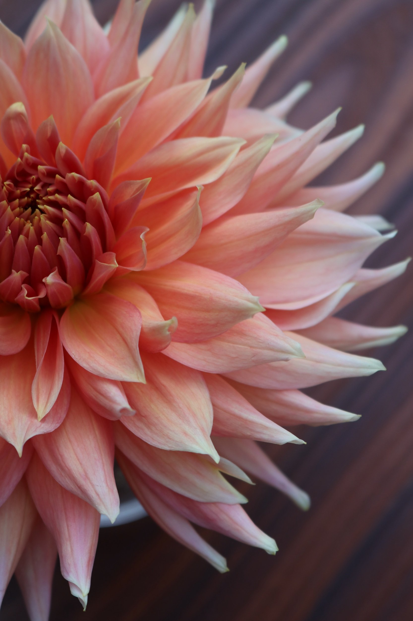 82CB660D-6EBC-446D-A6B6-07F416D6B72B.jpeg