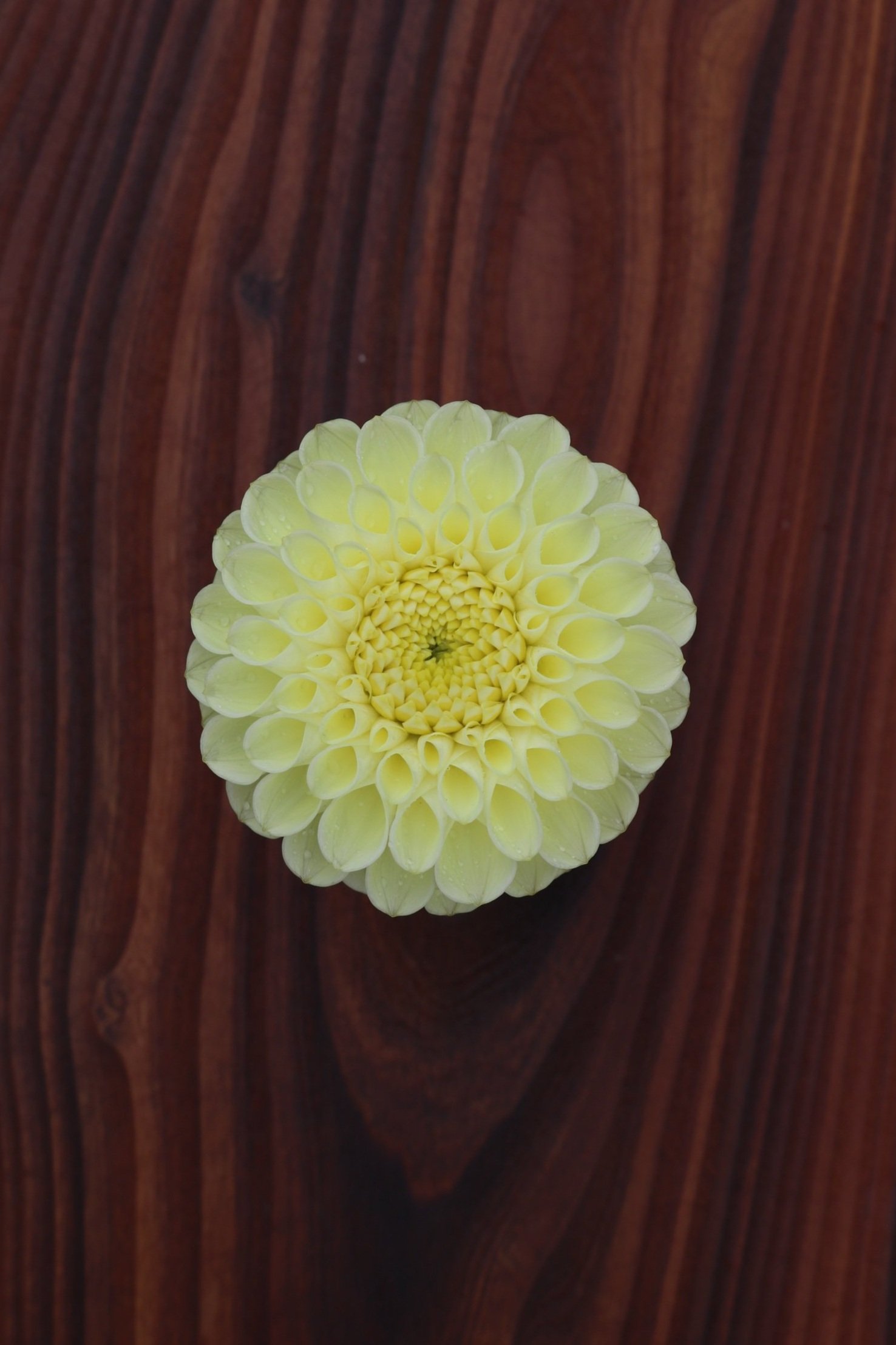 46EB217F-94CC-4A7C-A8AF-105A00544AF8.jpg
