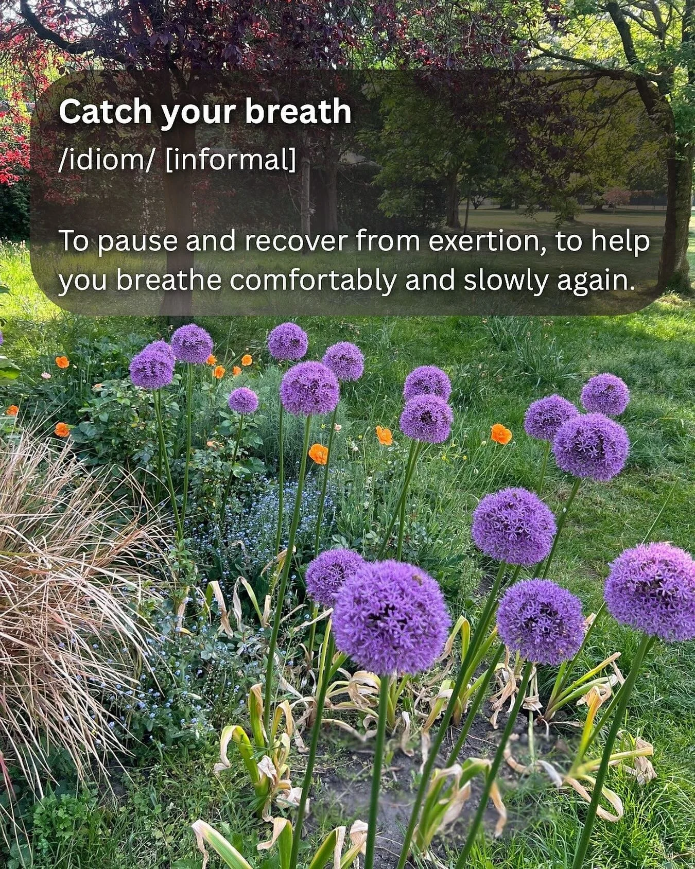 So underrated; the act of resting and restoring regular breathing. Bringing yourself back into balance. 🫁

Taking a little time to calm yourself and stopping to reassess in the present moment, before checking your next direction ☁️💆🏻

~

PS. This 