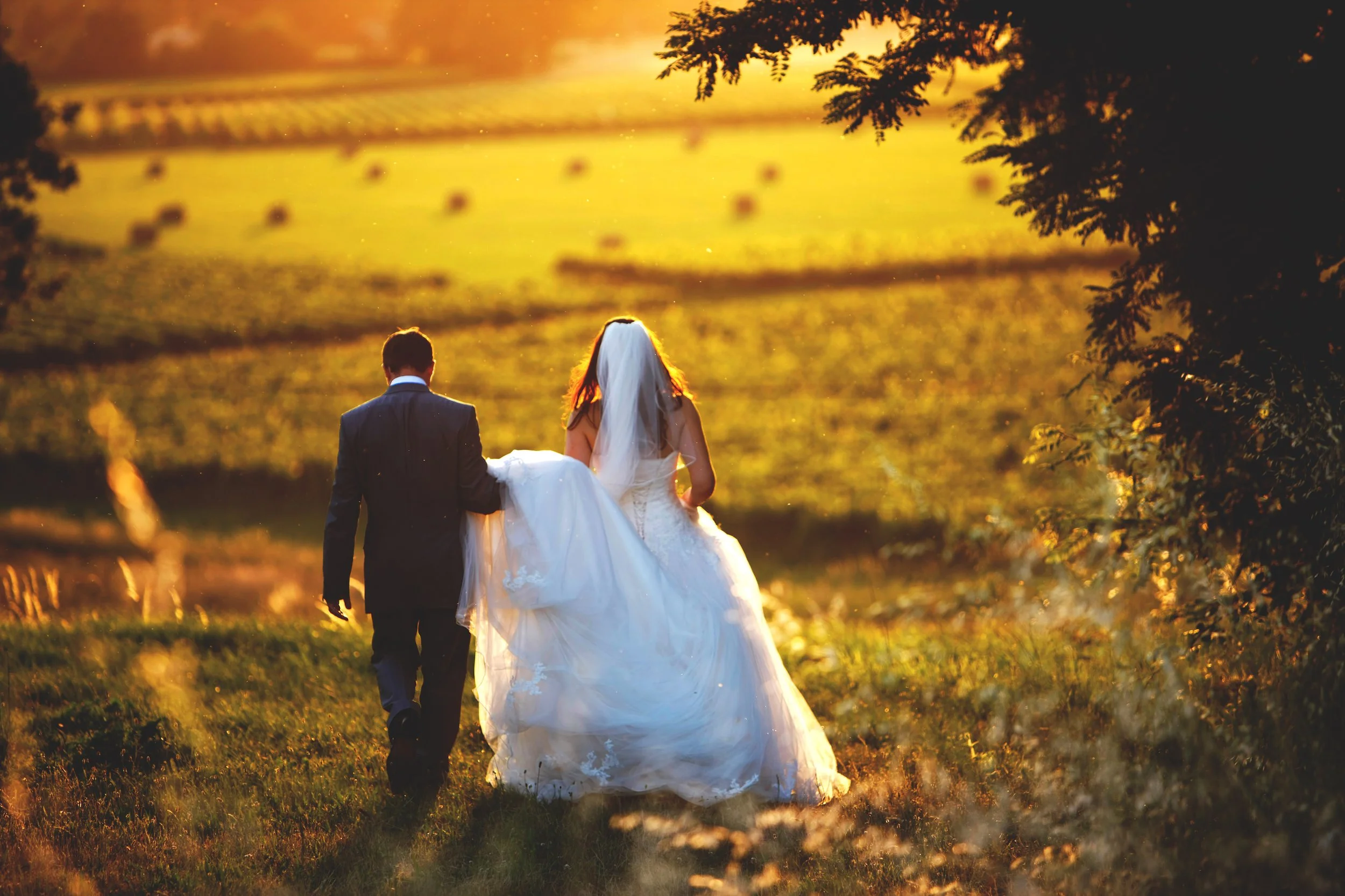 Bride and groom walking through a sunlit field
