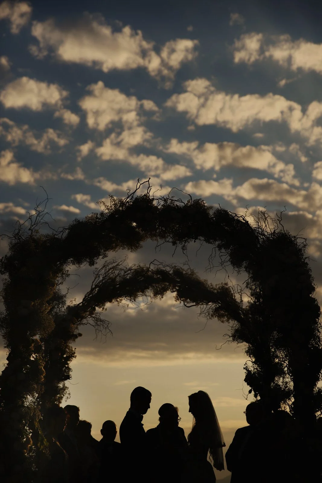 Silhouettes of wedding couple and guests under an arch made of intertwined branches at sunset, with a cloudy sky in the background.