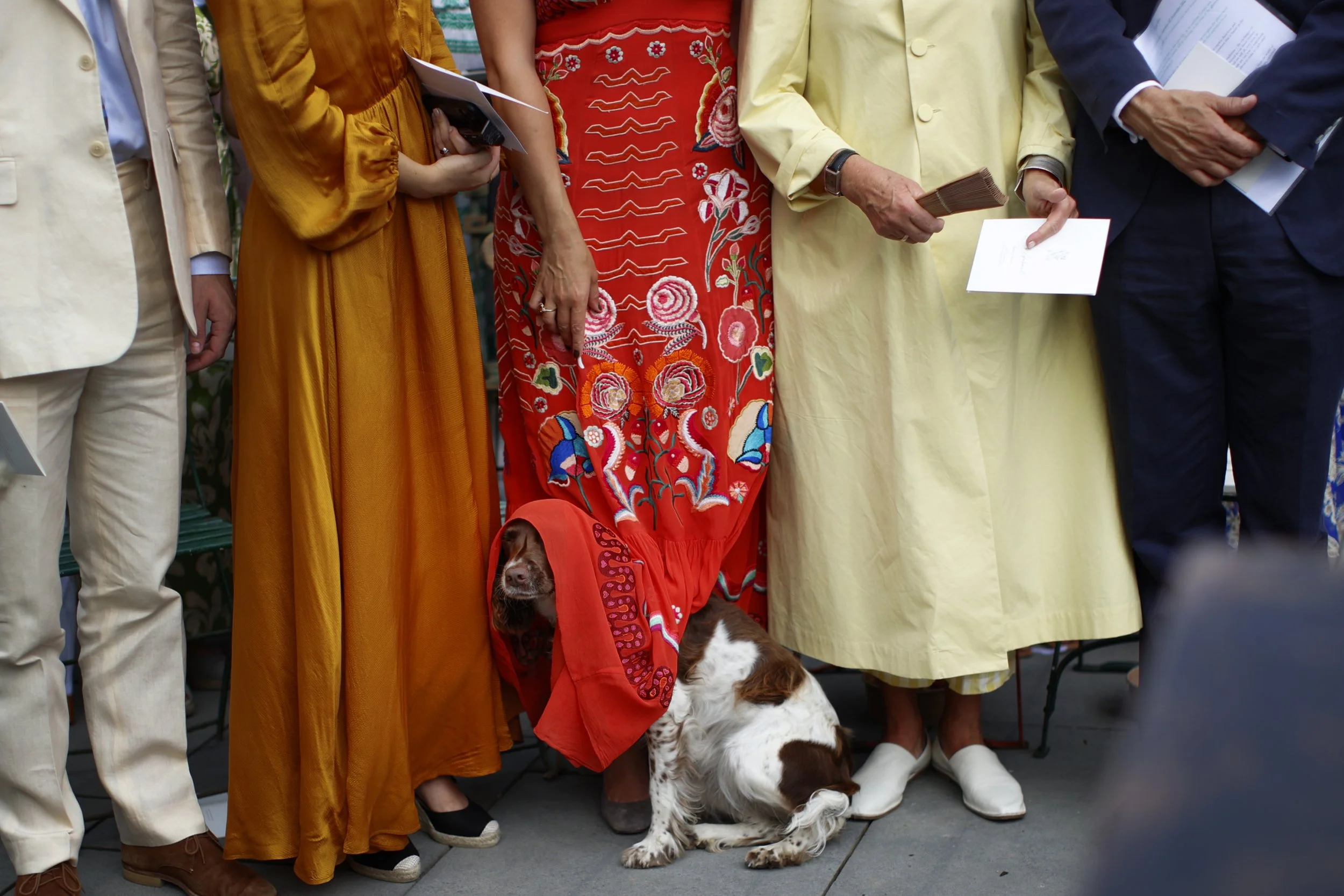 A group of people standing close together, dressed in colorful formal attire, with a brown and white dog sitting on the ground in front of them.