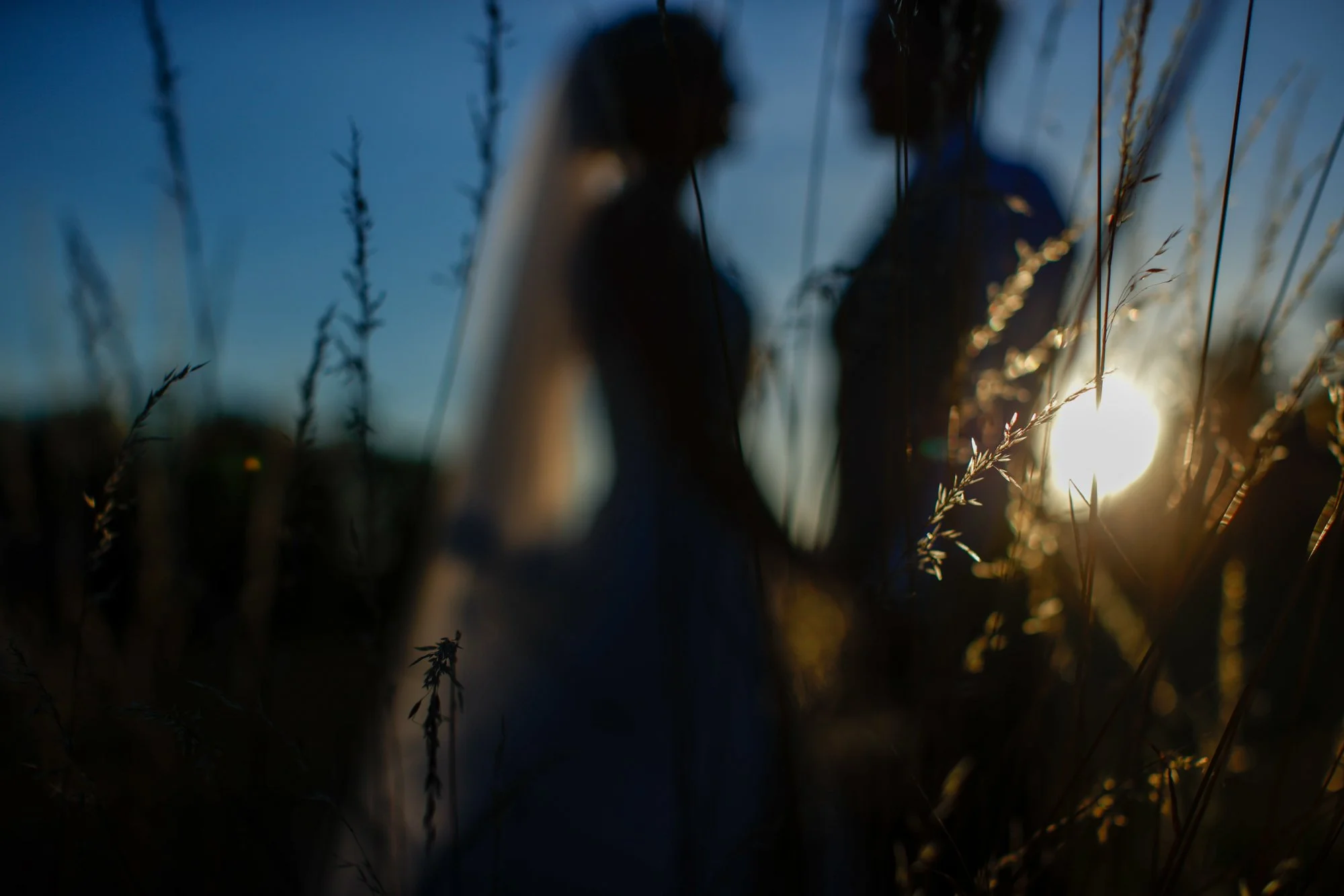 Silhouettes of two children in a field with tall grass during sunset.