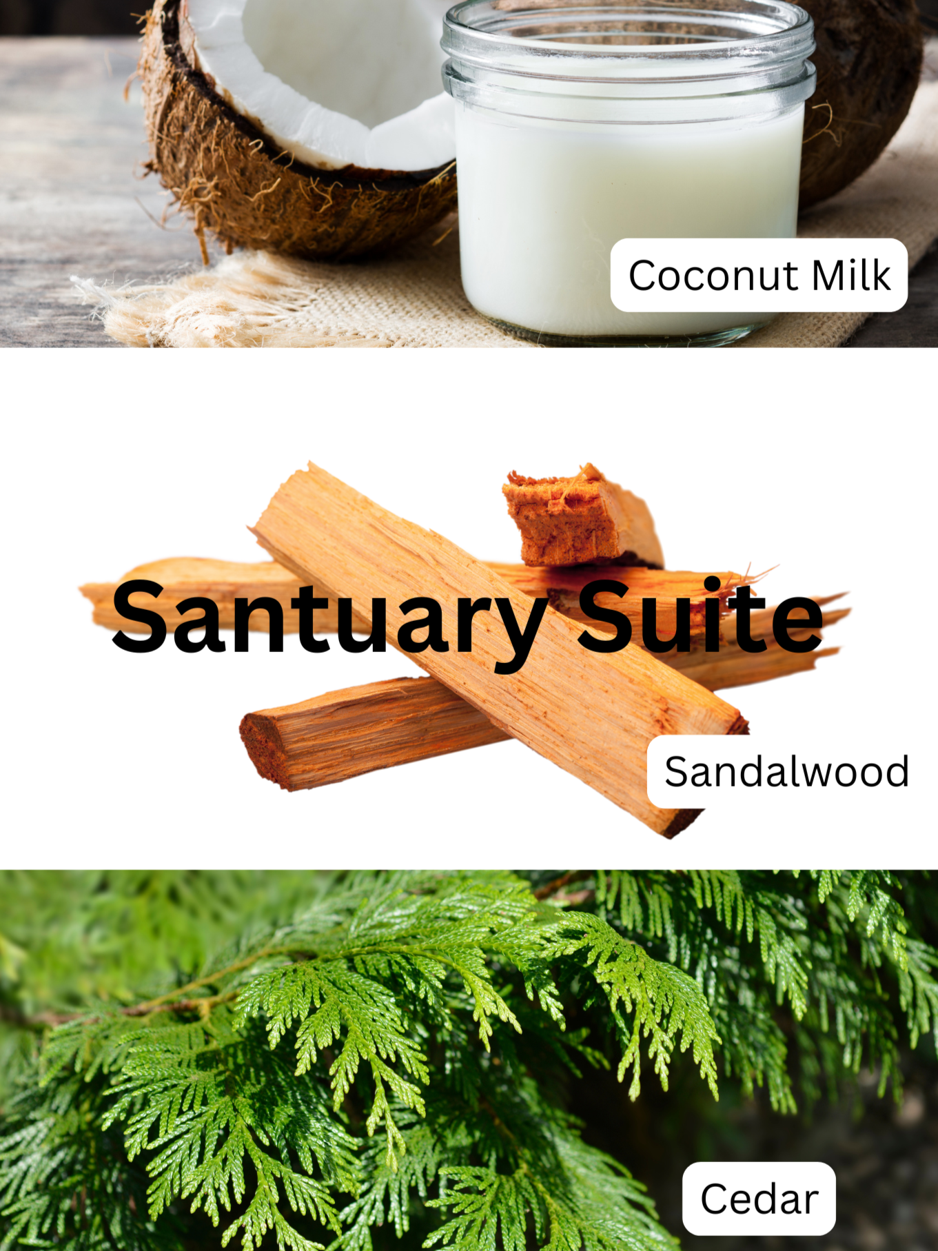 Fragrance+Notes_visuals+%284%29.png