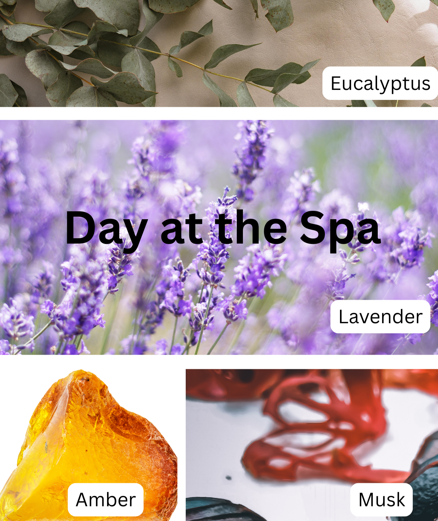 Fragrance+Notes_visuals+%286%29.png