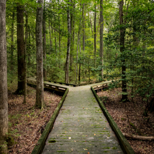 When to Modify the EMDR Standard Protocol (And When NOT To)