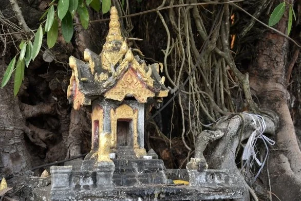 PhotoshopExtension_Image (40).jpg