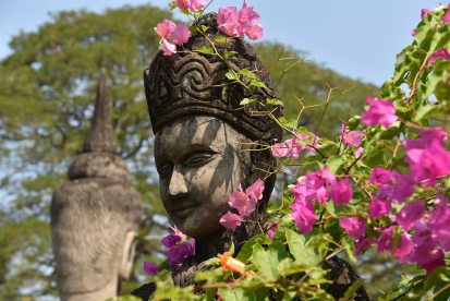 laos flowers. 2.png 2.png