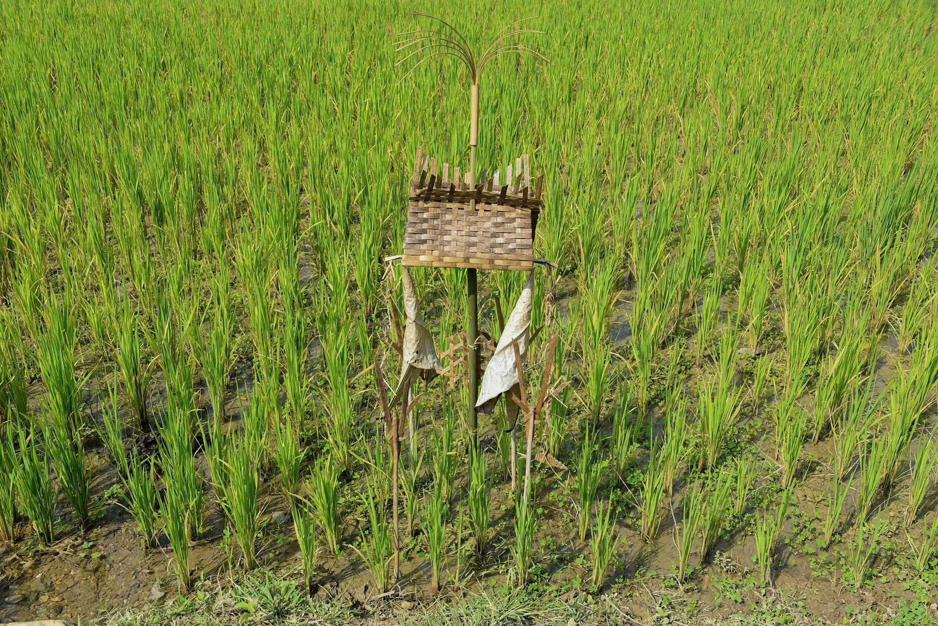 PhotoshopExtension_Image (30).jpeg