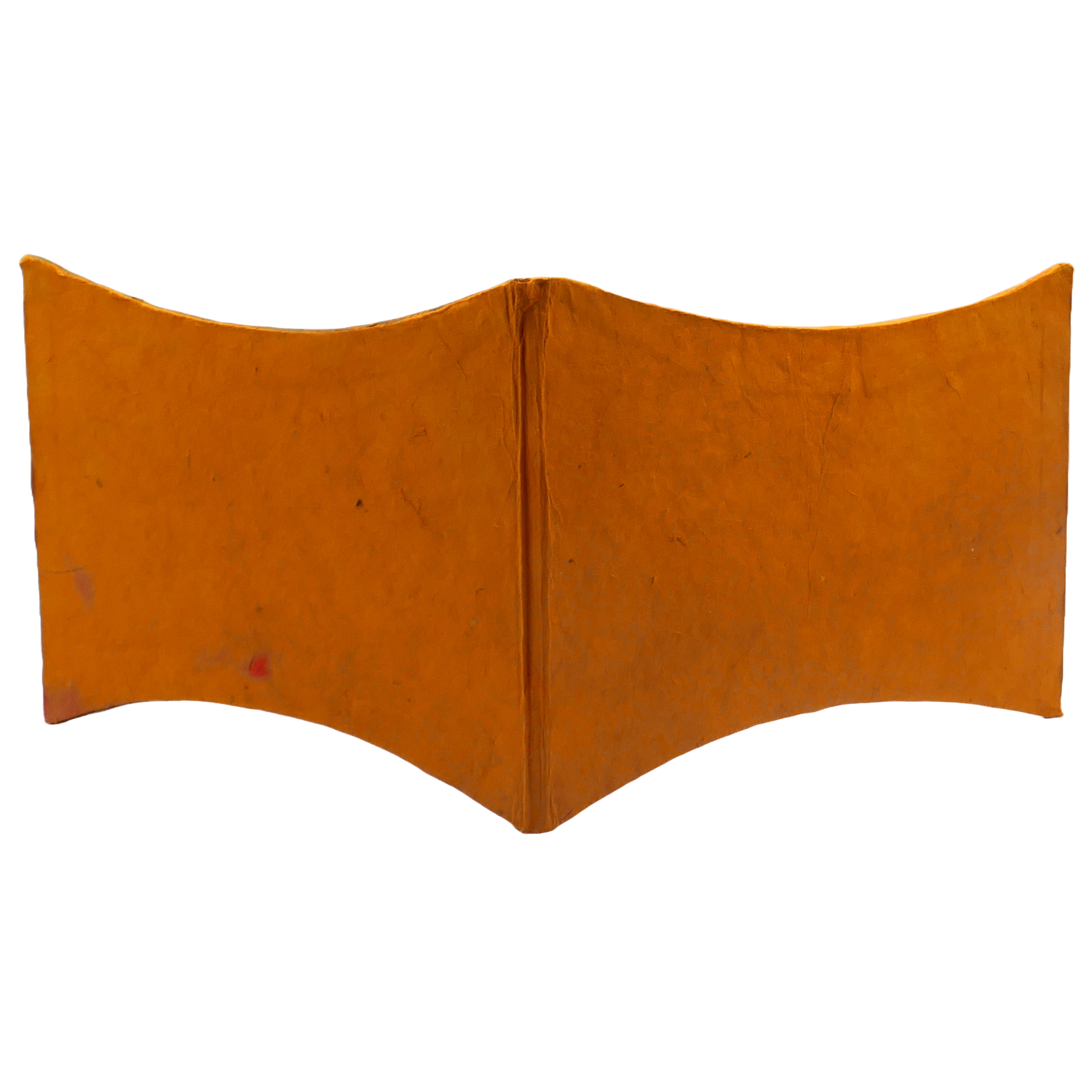 Lokta handmade paper double photo frame