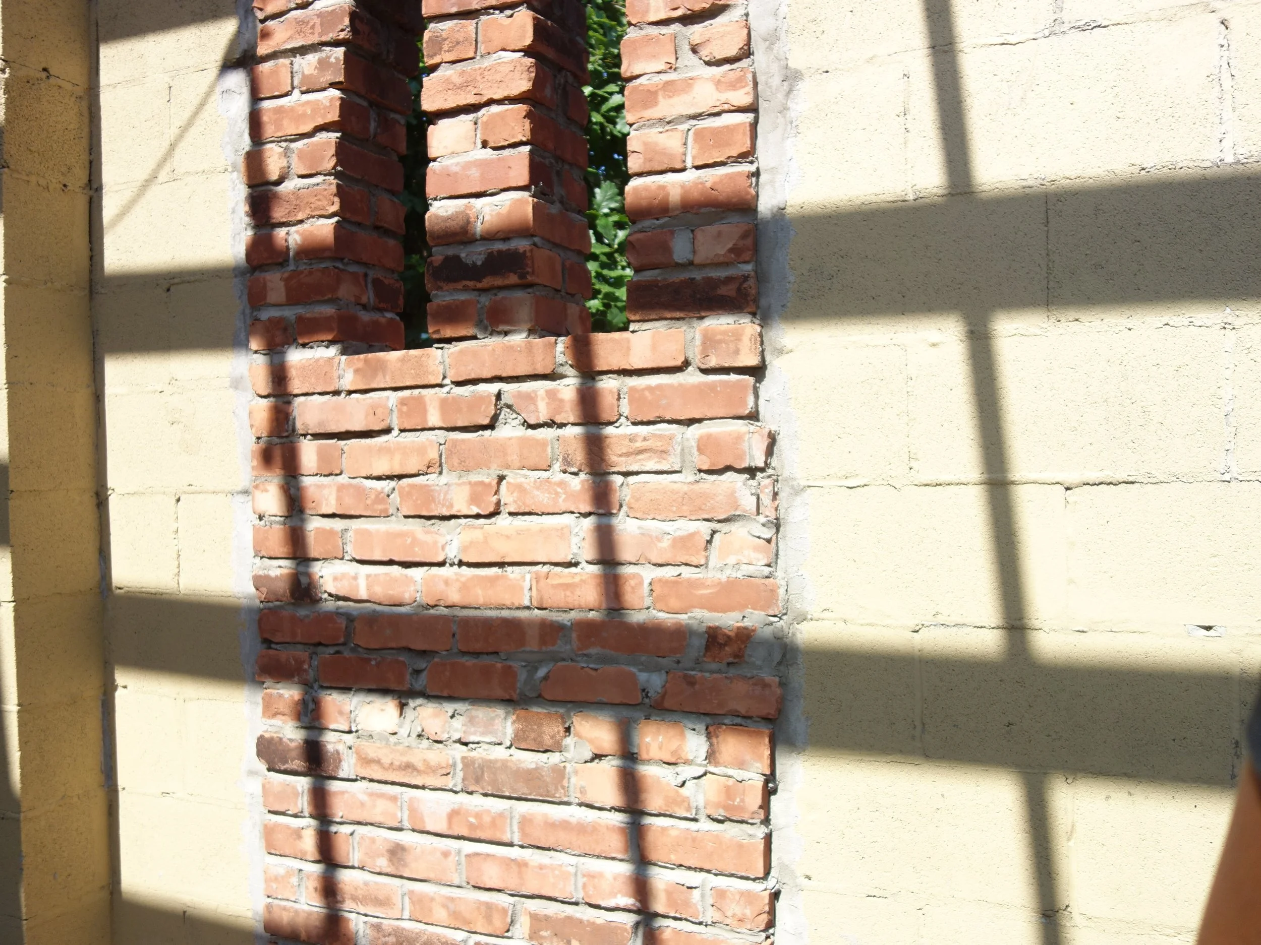 Damia_TFTP x The WASH Project_4.JPG