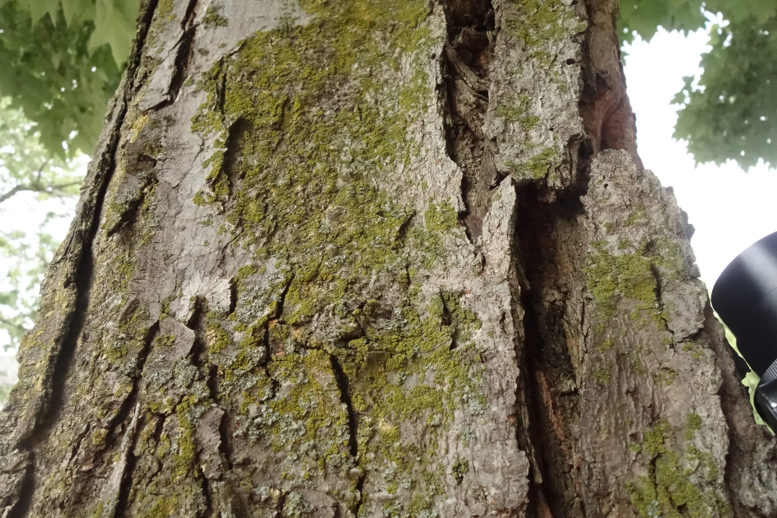 Frankie_TFTP x The WASH Project_2.JPG