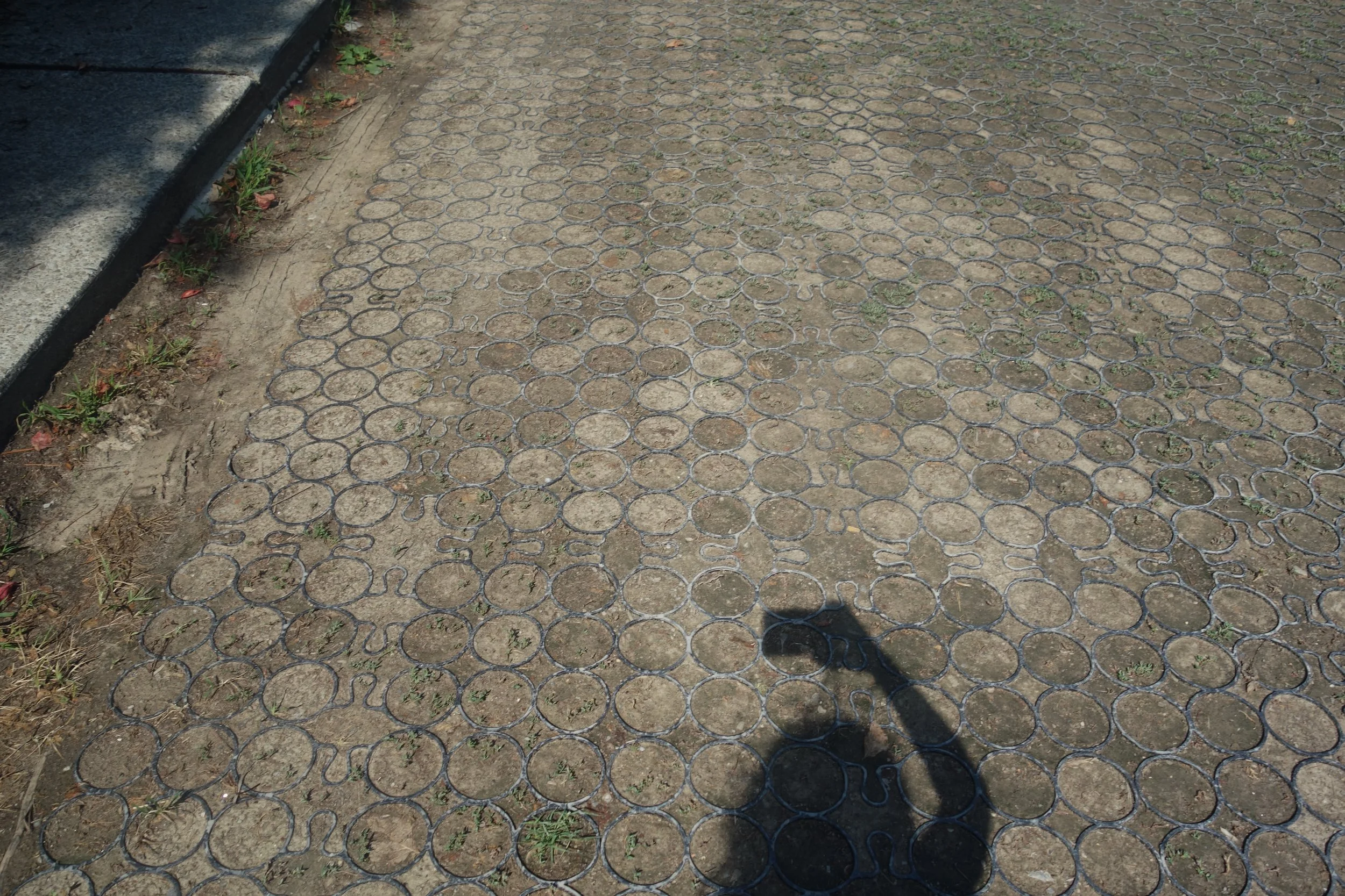 Frankie_TFTP x The WASH Project_19.JPG