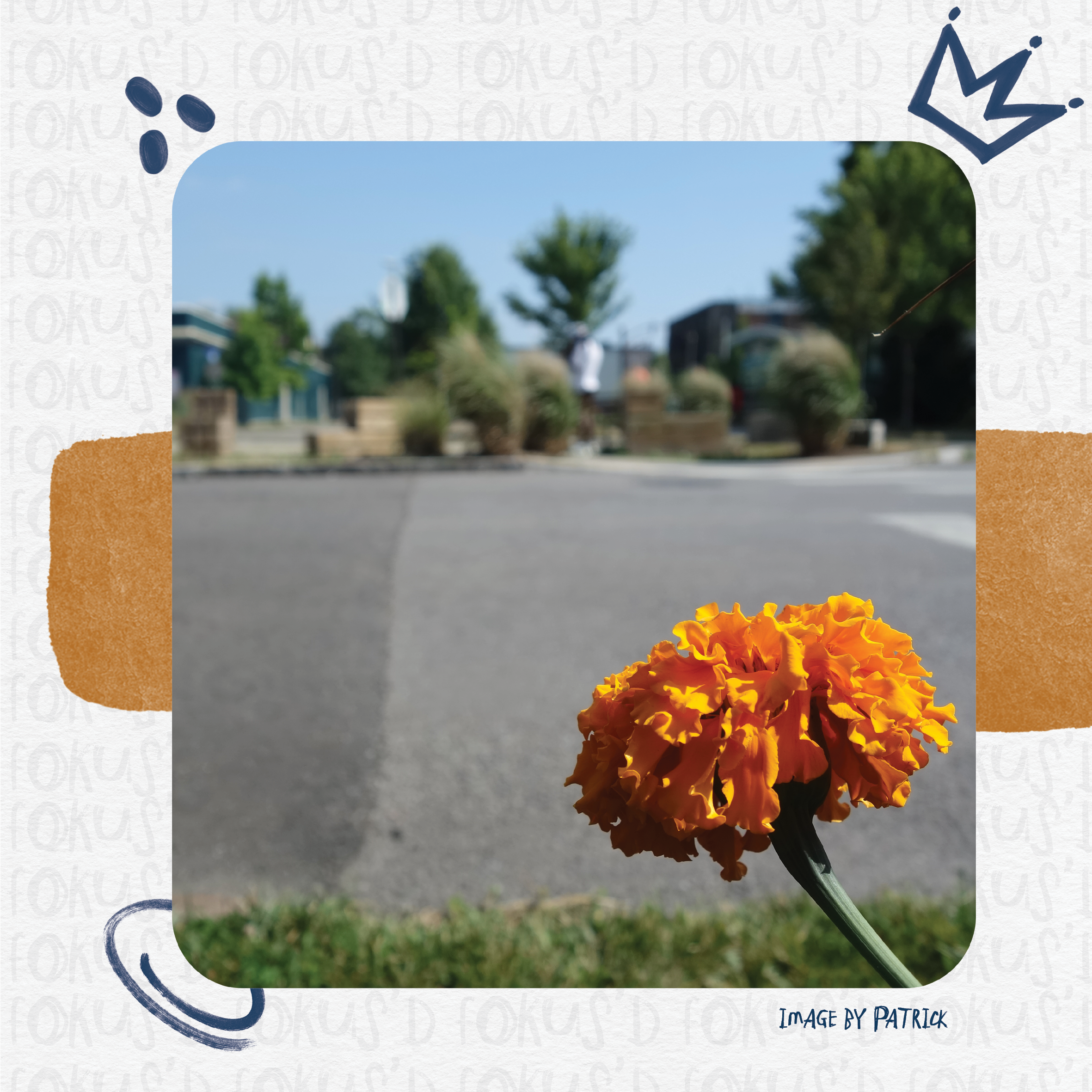 TFTP Expanding Perspectives @TheWASHProject21.png