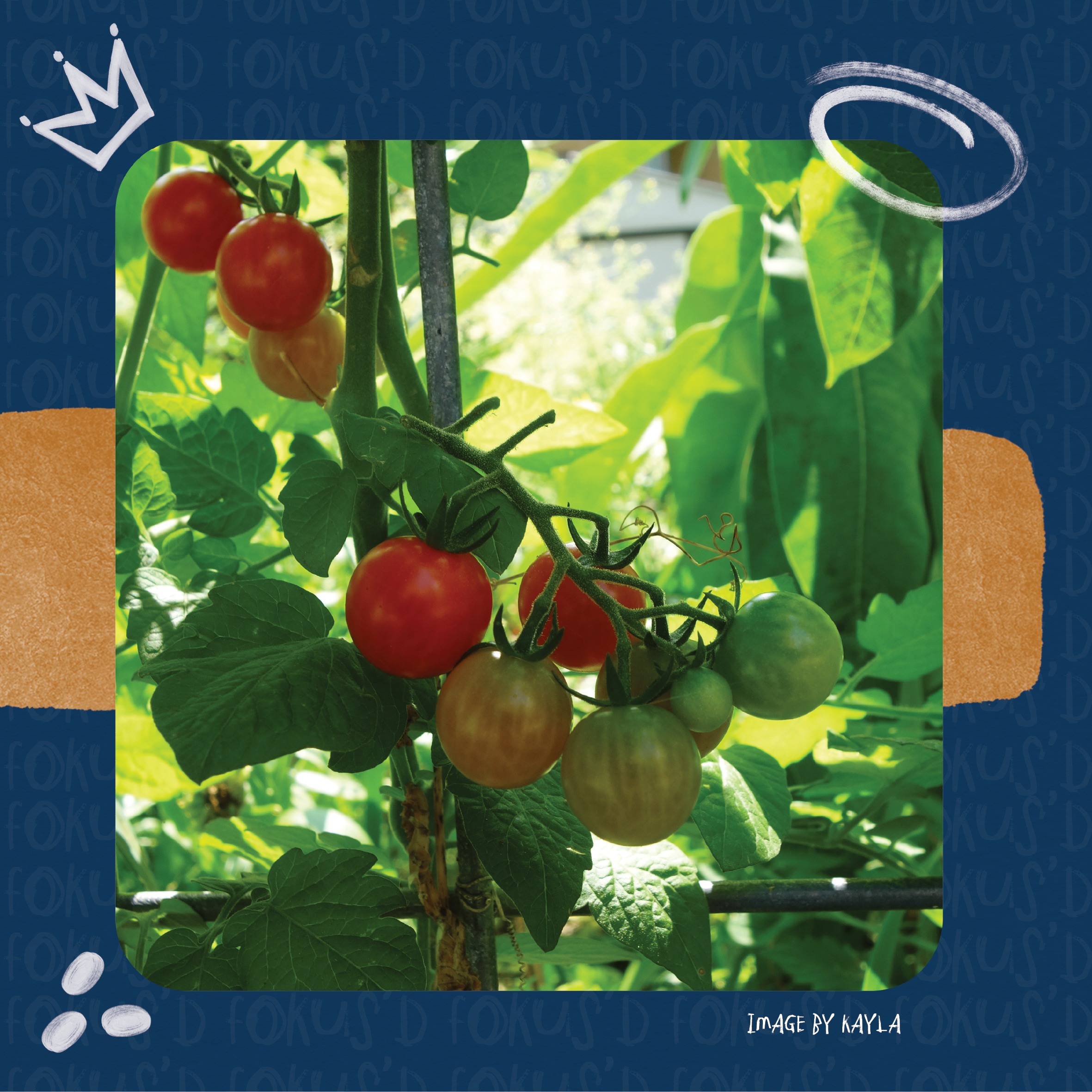 TFTP Expanding Perspectives @TheWASHProject28.png